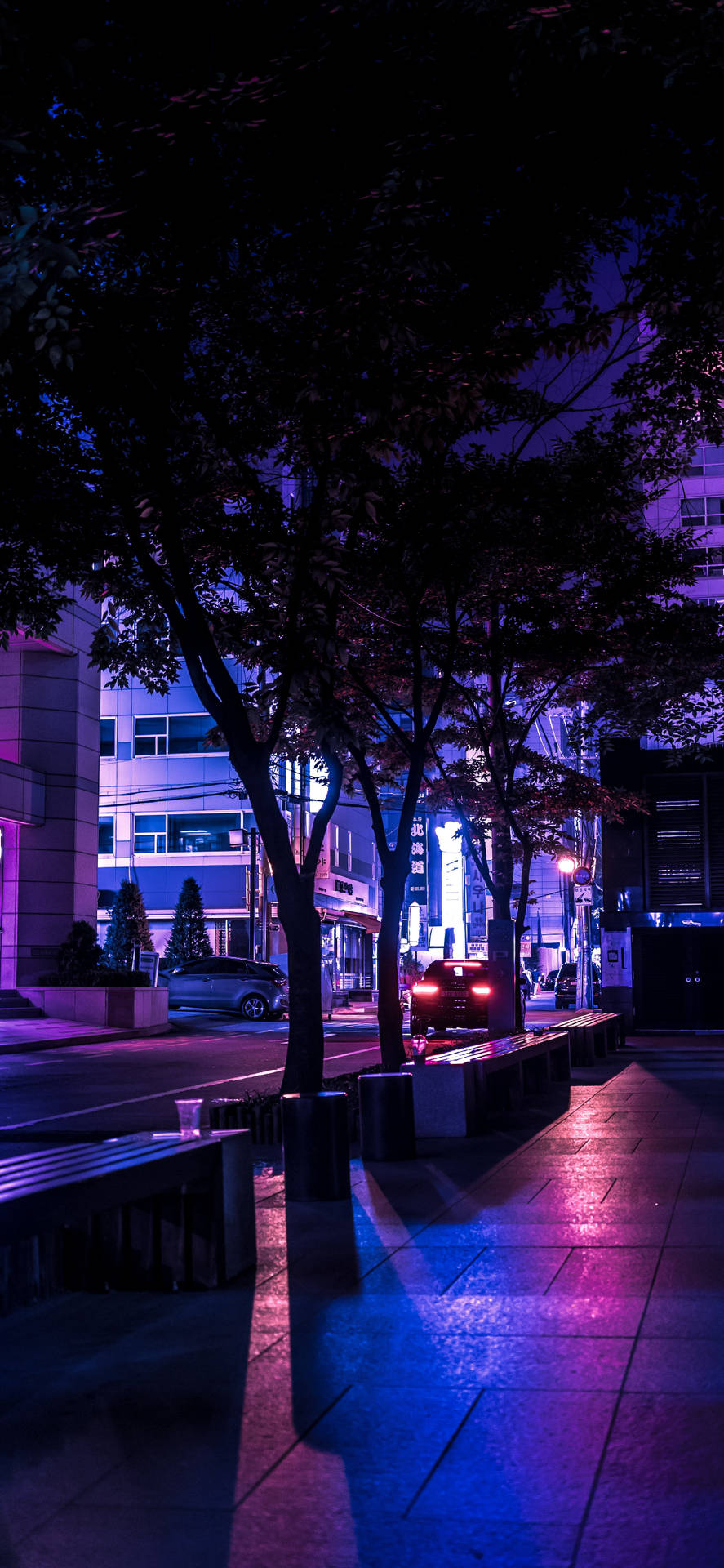 夜晚霓虹燈照亮城市街道，樹木和潮濕路面反射出五彩燈光。