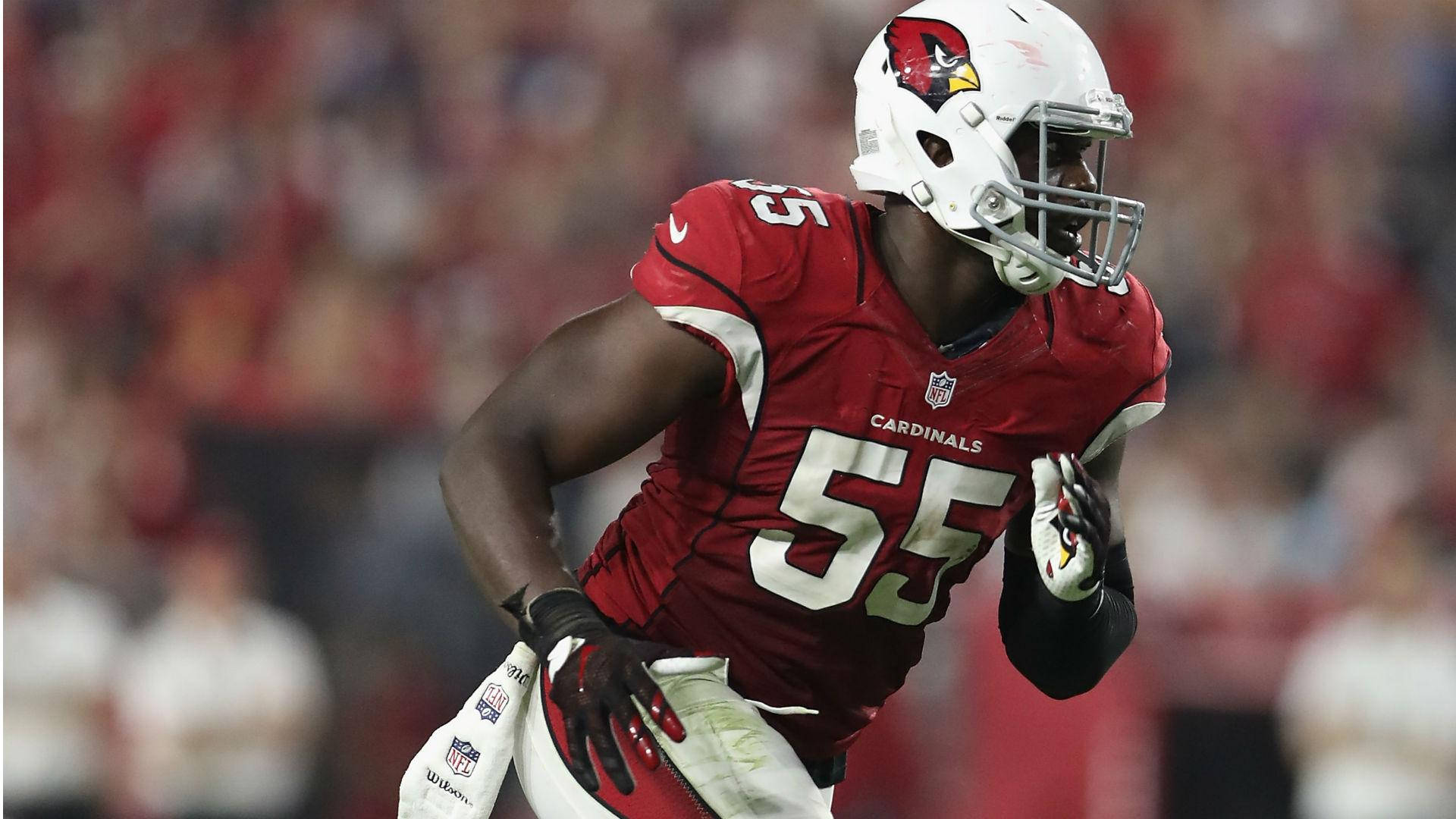 身穿紅色 Cardinals 制服的美式足球員在夜間比賽中衝刺。
