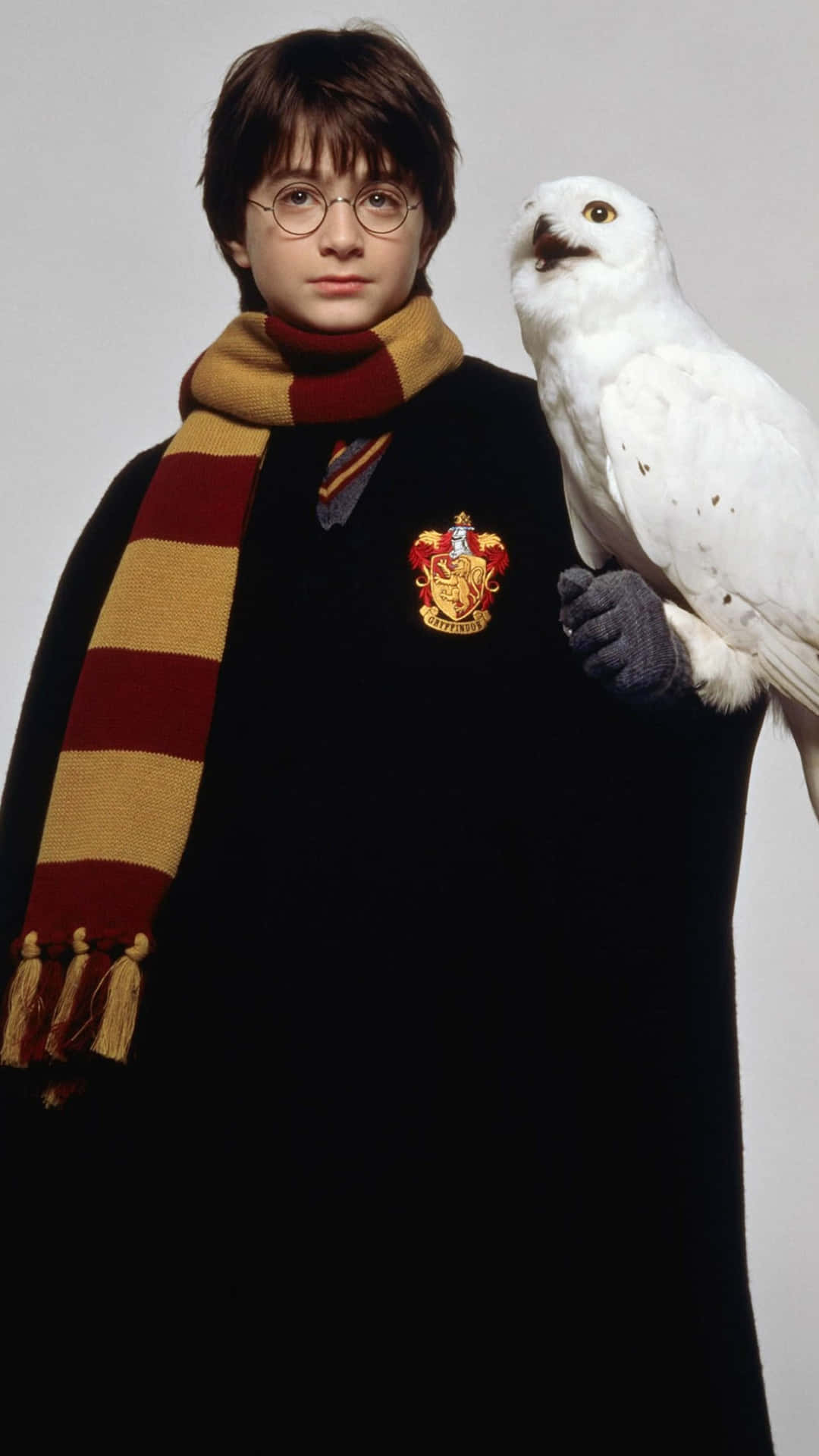  壁紙 — 年輕的哈利波特穿著葛萊芬多長袍，戴著手套的手臂上棲著一隻雪鴞，背景為純色。