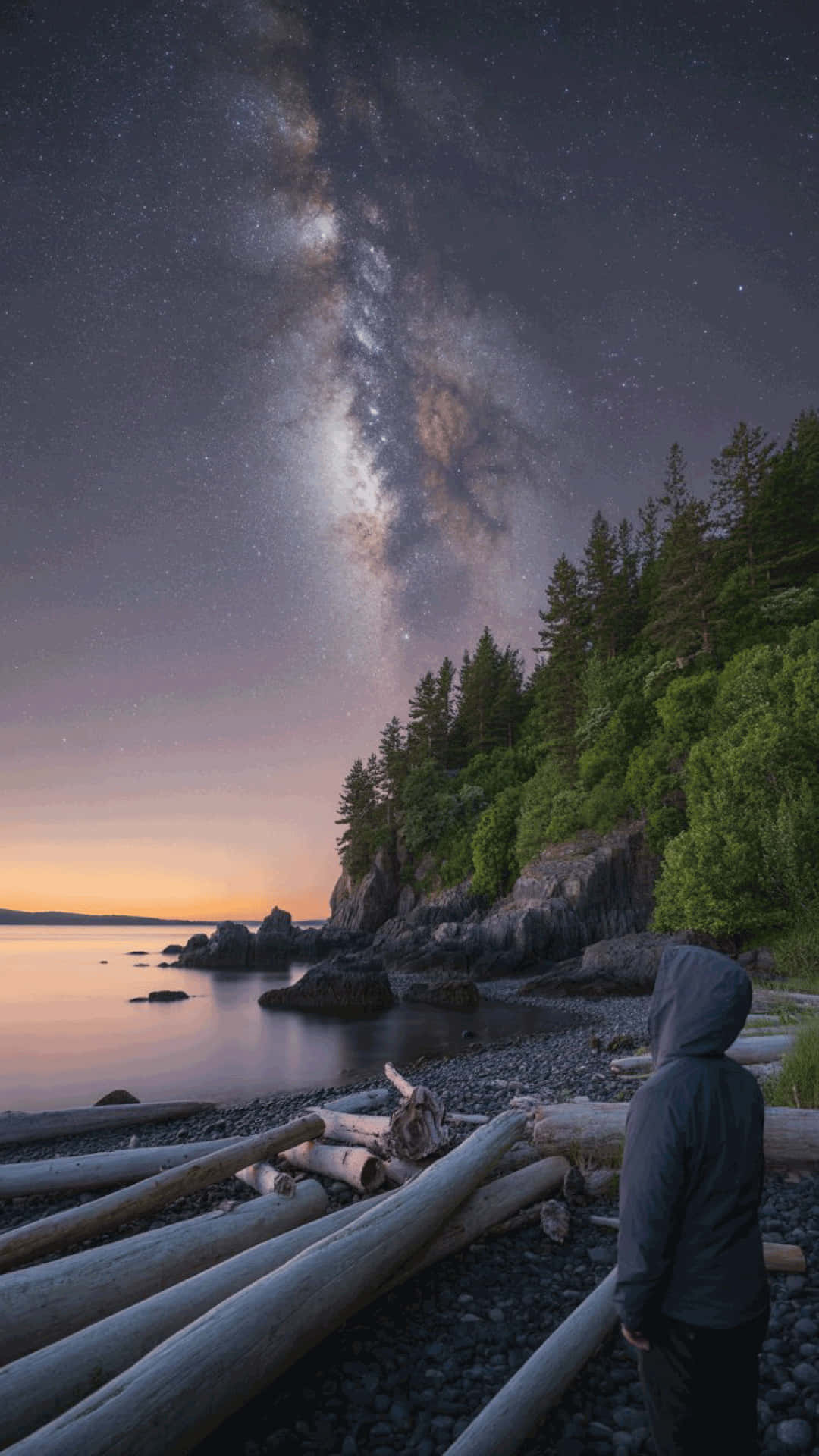 穿連帽衫的人站在岩石海灘上觀看水面上方和樹木間的星星和銀河