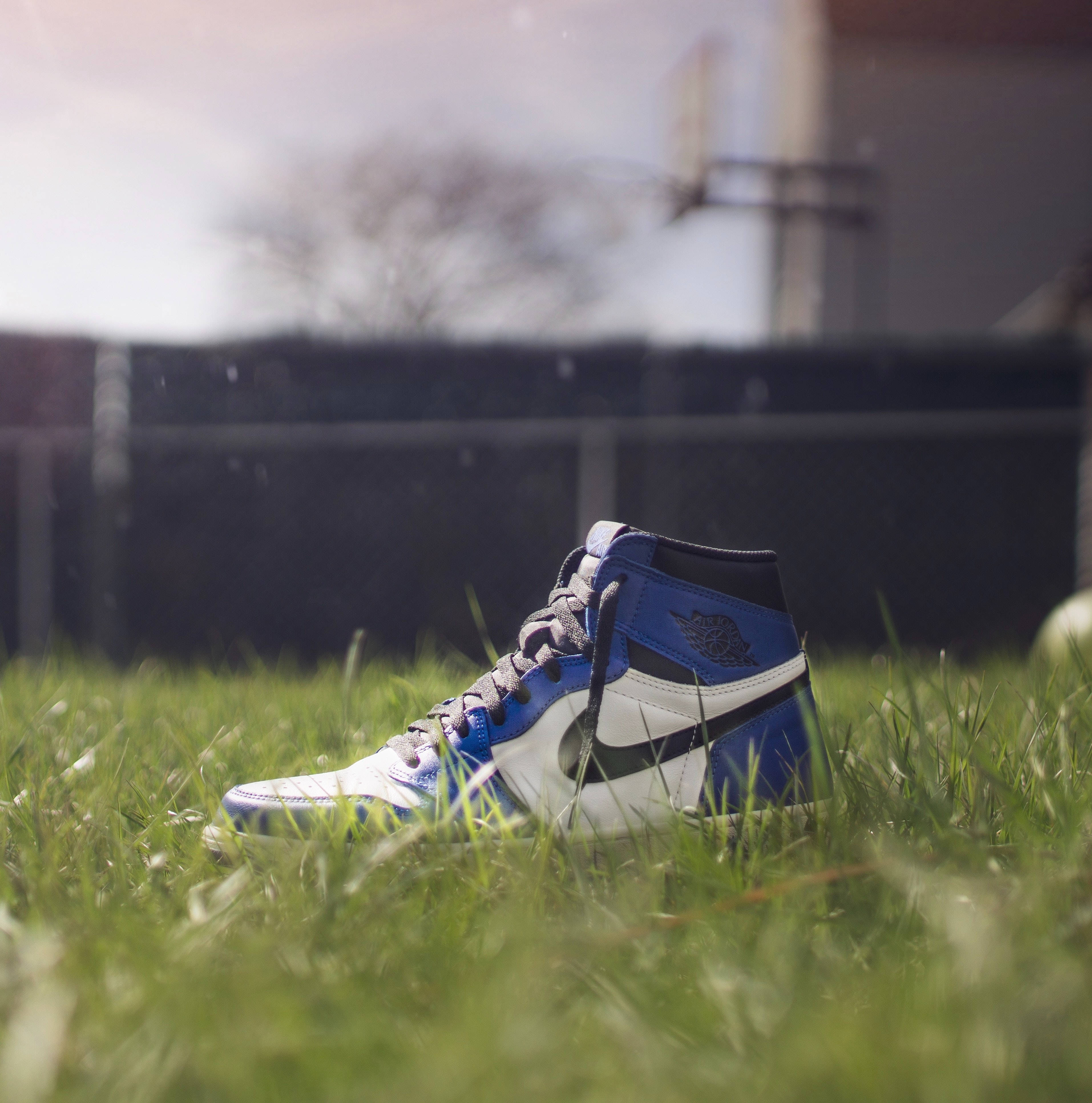 全新白色 Nike Air Jordan 鞋款 壁紙 — 一雙藍白高筒運動鞋放在充滿活力的綠色草地上，背景是模糊的籃球框。