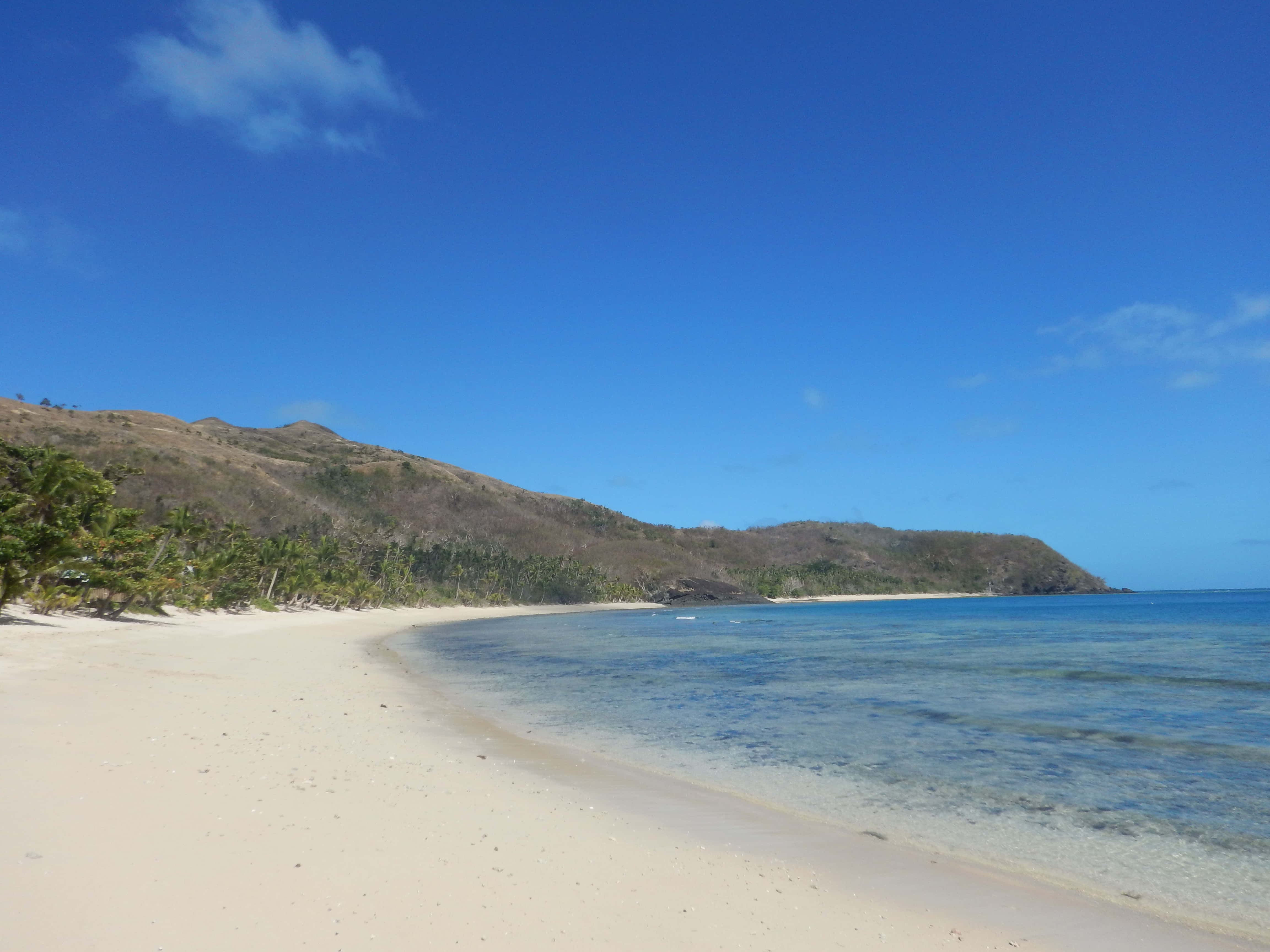 Fiji Beach 桌布 壁紙 — 寧靜的熱帶海灘，白色沙灘在清澈藍天下沿著碧綠海水溫柔彎曲。