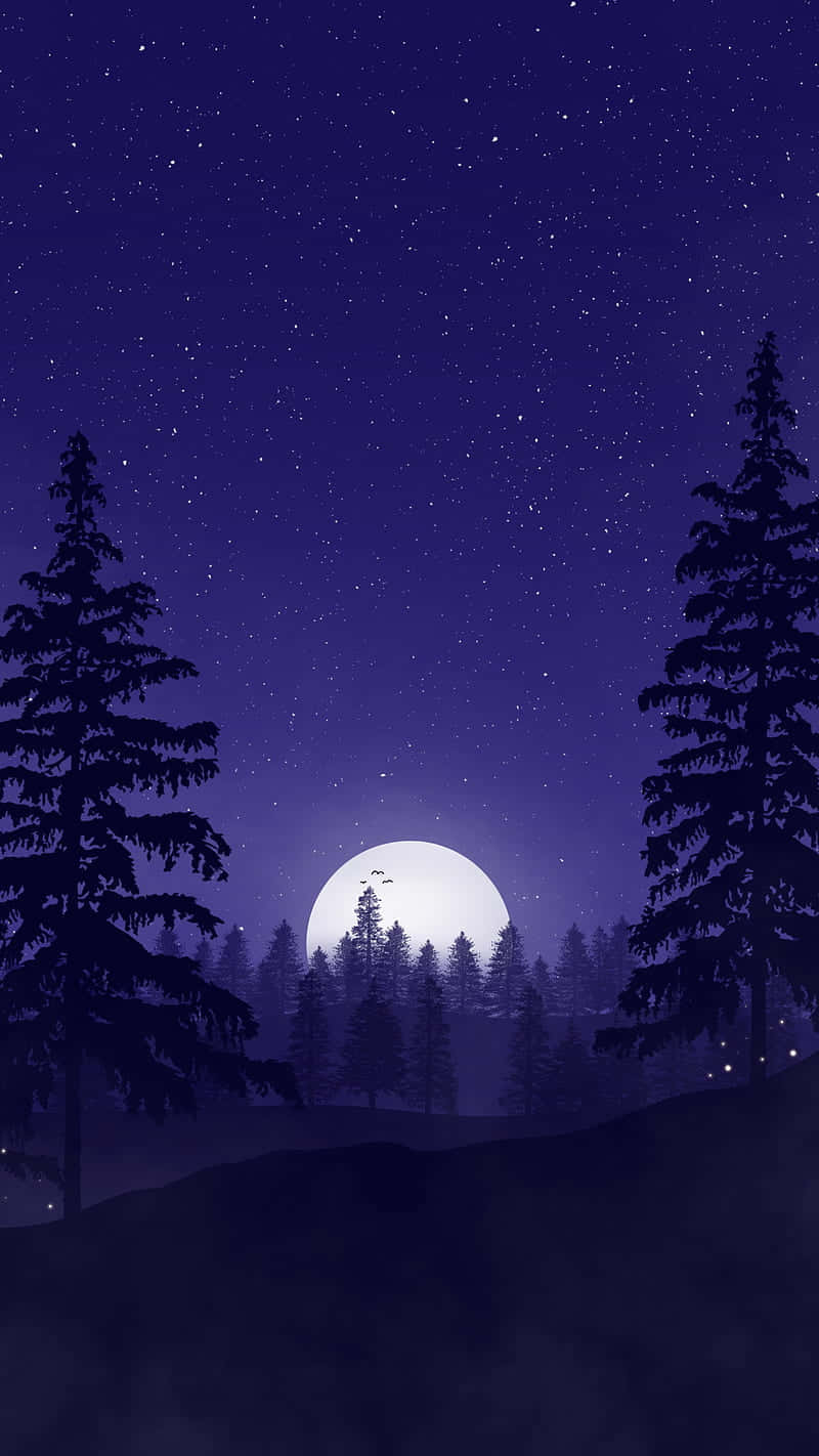  壁紙 — 寧靜的夜晚場景，滿月在松樹林後閃耀，星空深藍的天空下。