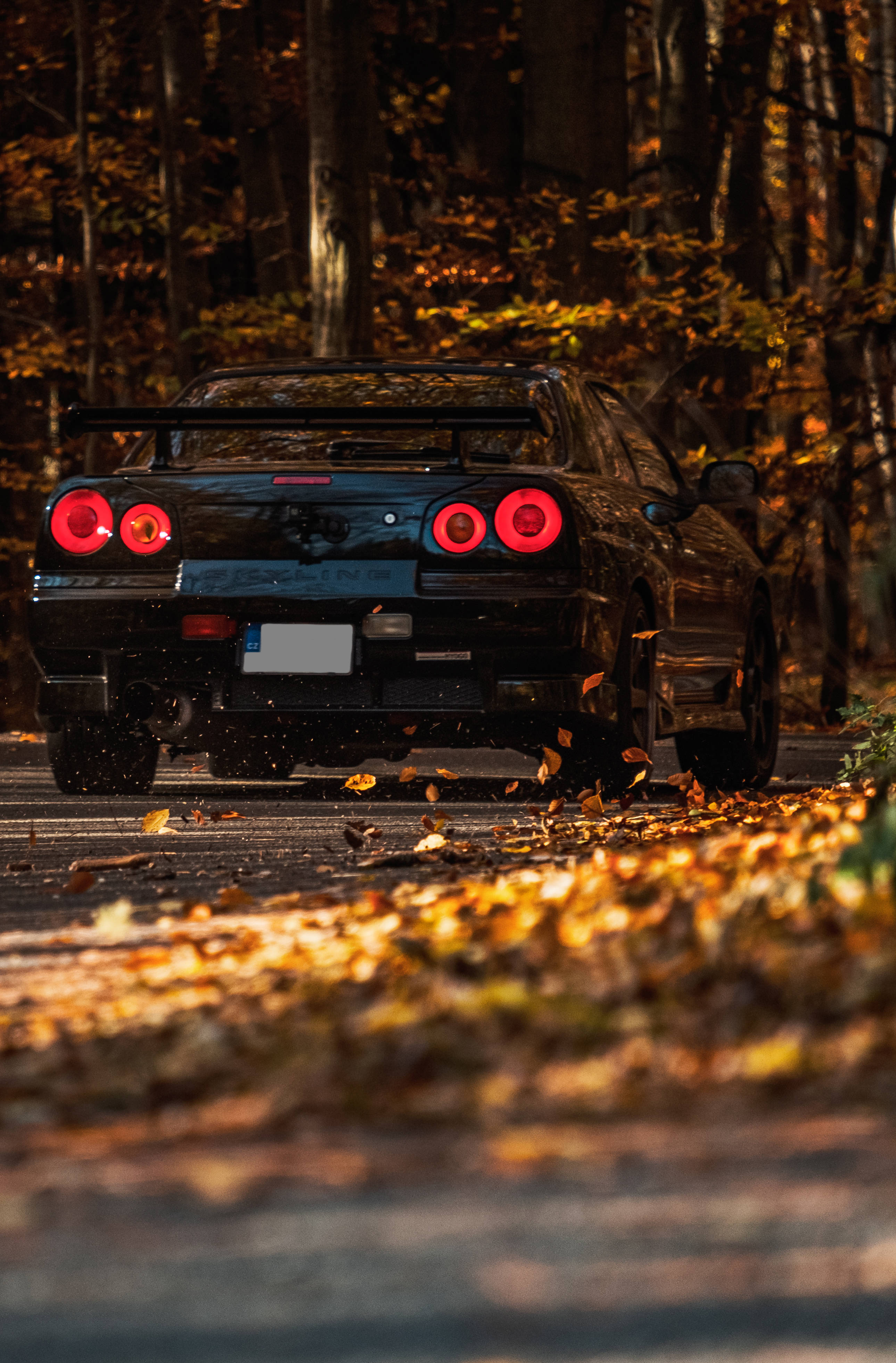 Nissan Skyline GTR R34於森林 壁紙 — 一輛黑色跑車亮著紅色尾燈，駛過鋪滿金色秋葉的森林。