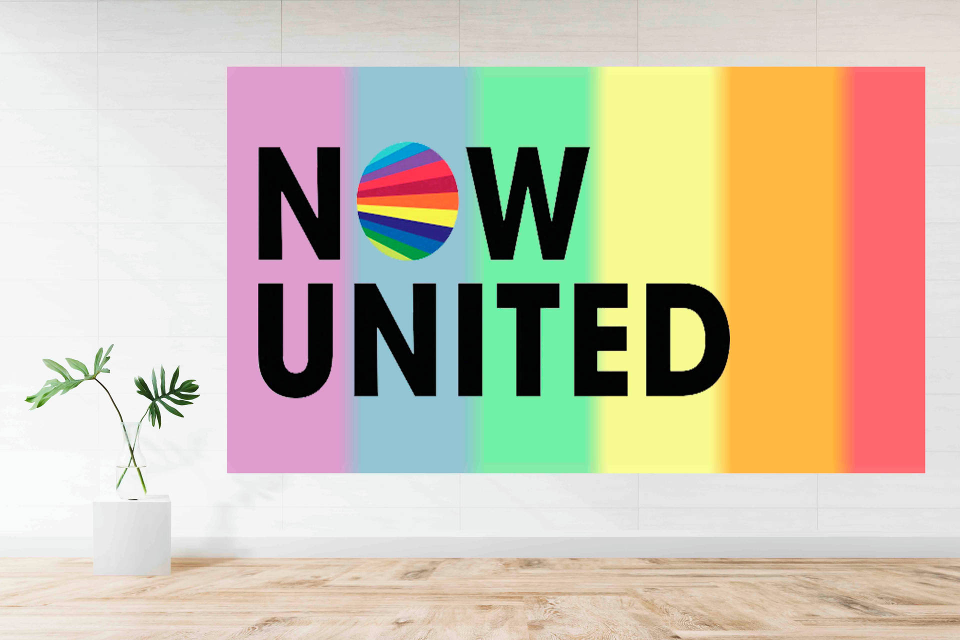 彩虹條紋牆上，有粗體文字 NOW UNITED 和附近的盆栽植物。