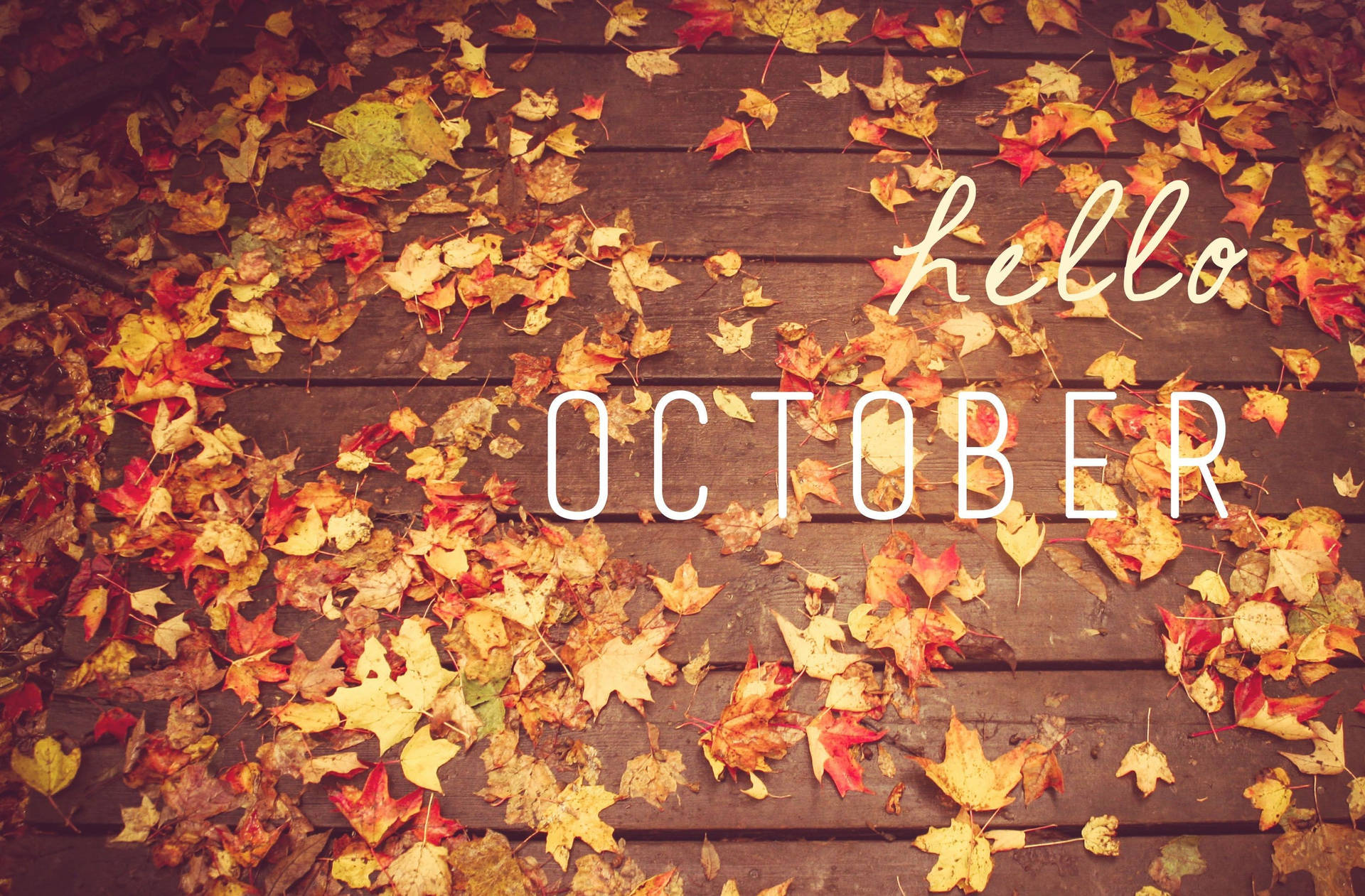 木質甲板上的秋葉與 hello october 文字