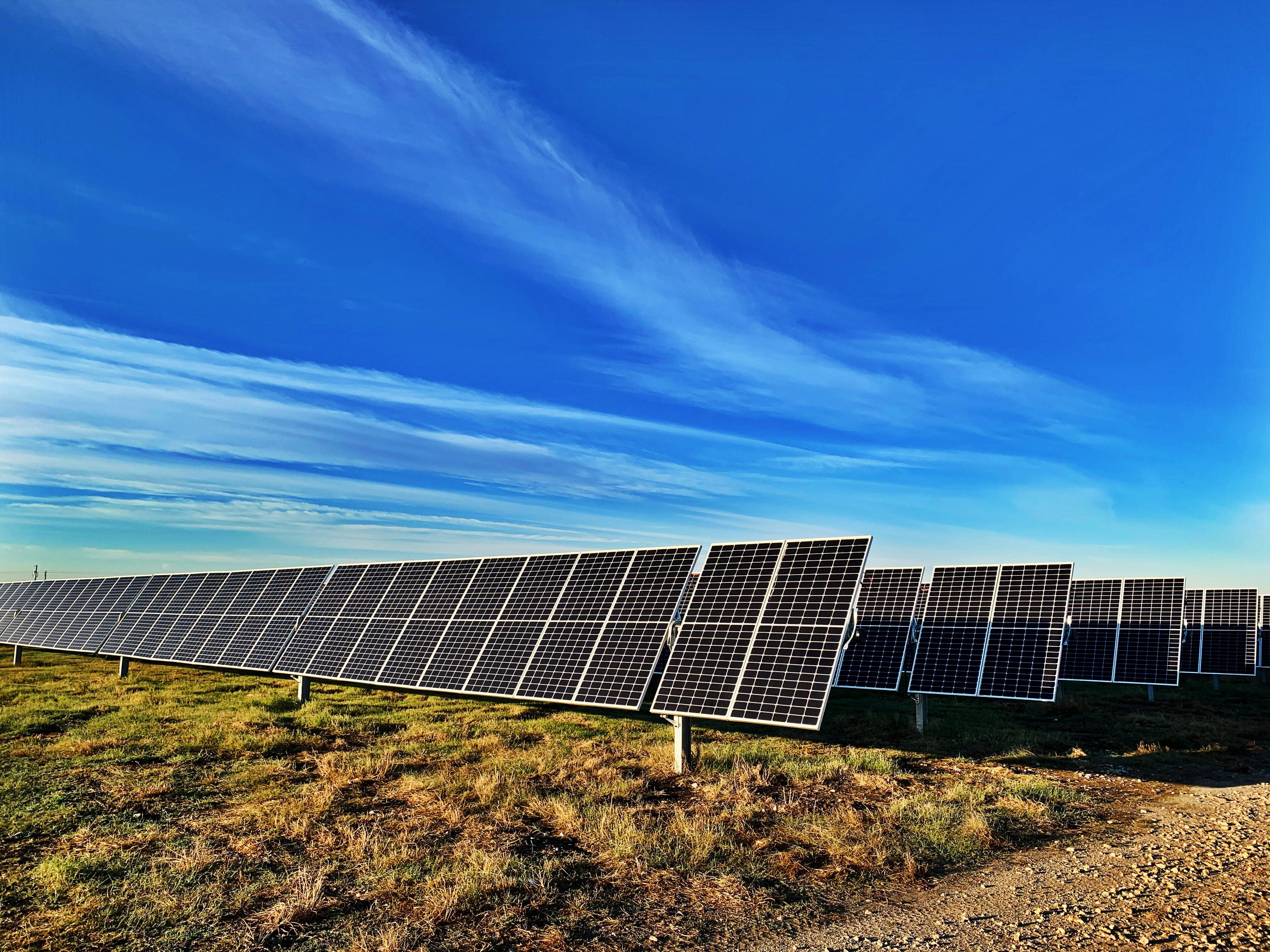 NV Energy太陽能田 壁紙 — 一排排太陽能板在青翠的田野上延伸，天空湛藍，雲朵輕柔。