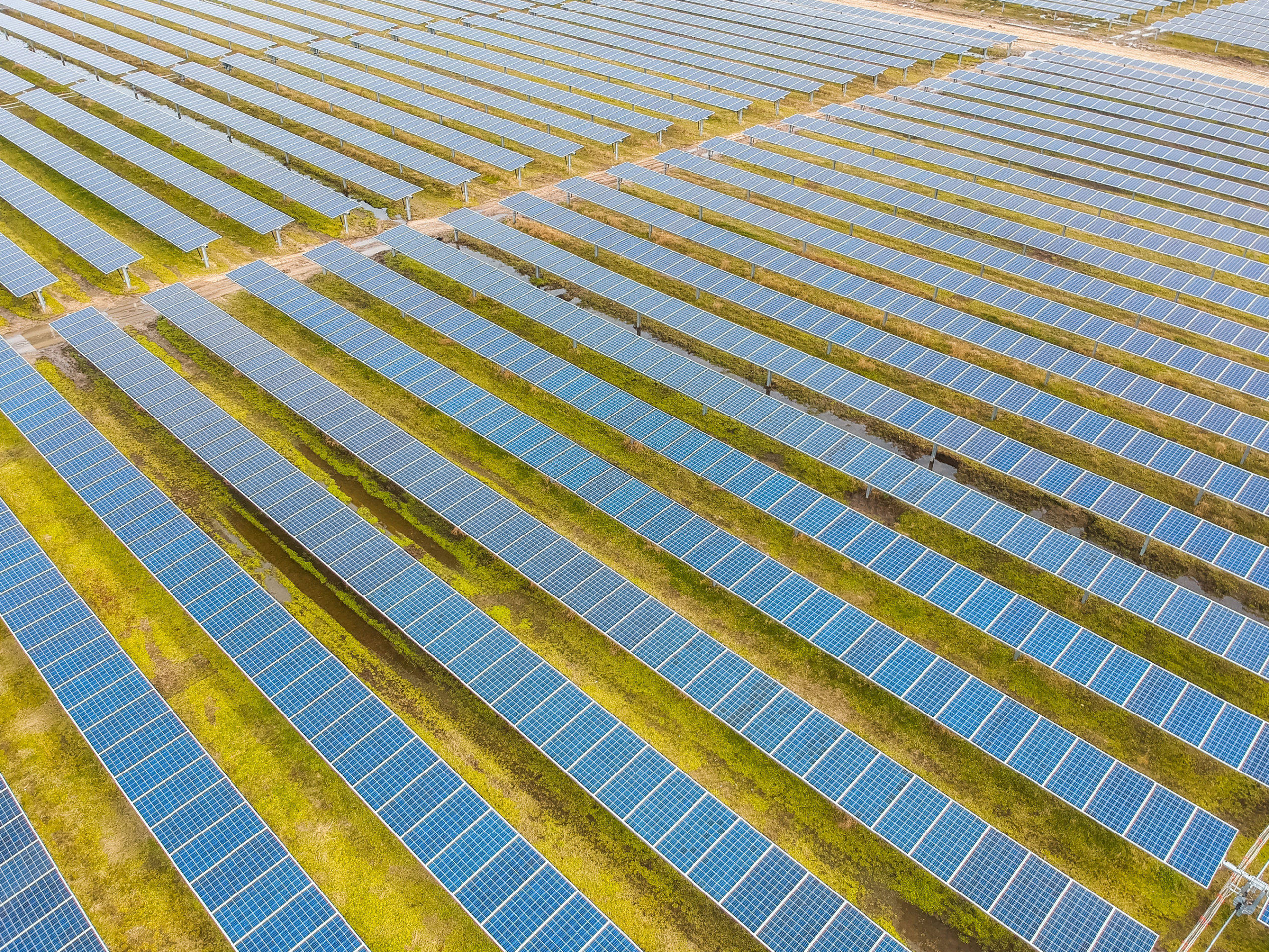 NV Energy太陽能公園的太陽能板陣列 壁紙 — 從高空俯瞰，在明亮的日光下，藍色太陽能板無盡地排列在草地上。