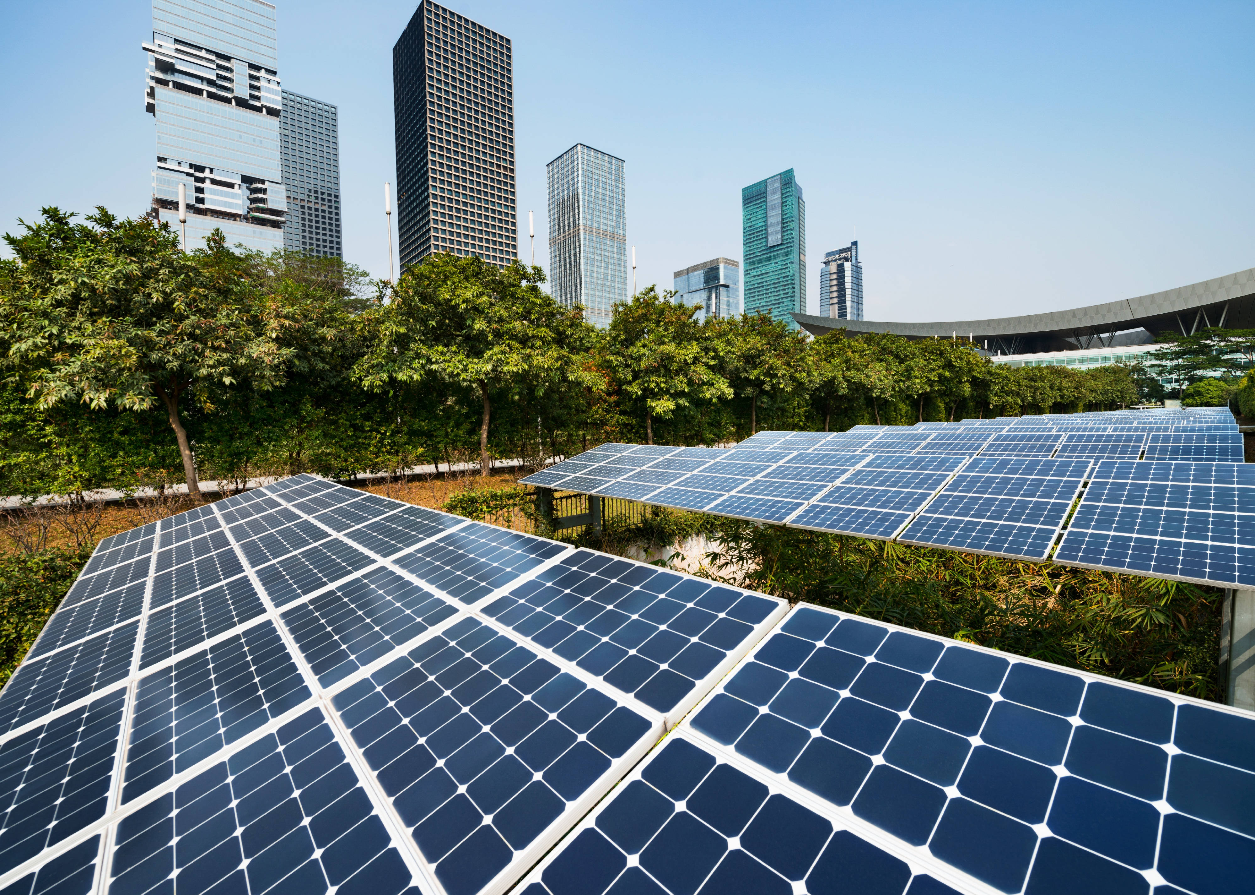 NV Energy於城市中 壁紙 — 一排排藍色太陽能板在明亮陽光下閃閃發光，現代玻璃摩天大樓在茂密綠樹後方聳立。