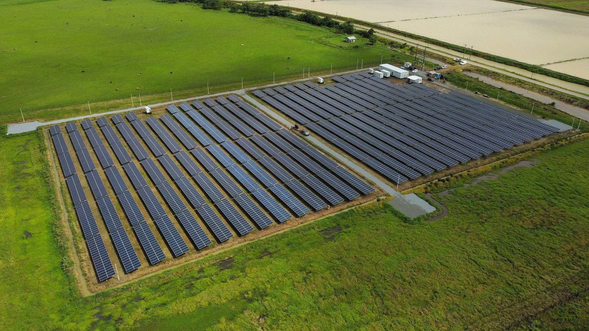 NV Energy 電網於草地 壁紙 — 從高空俯瞰，大片太陽能電池板整齊排列在鬱鬱蔥蔥的綠色田野中，沐浴在明亮的日光下。