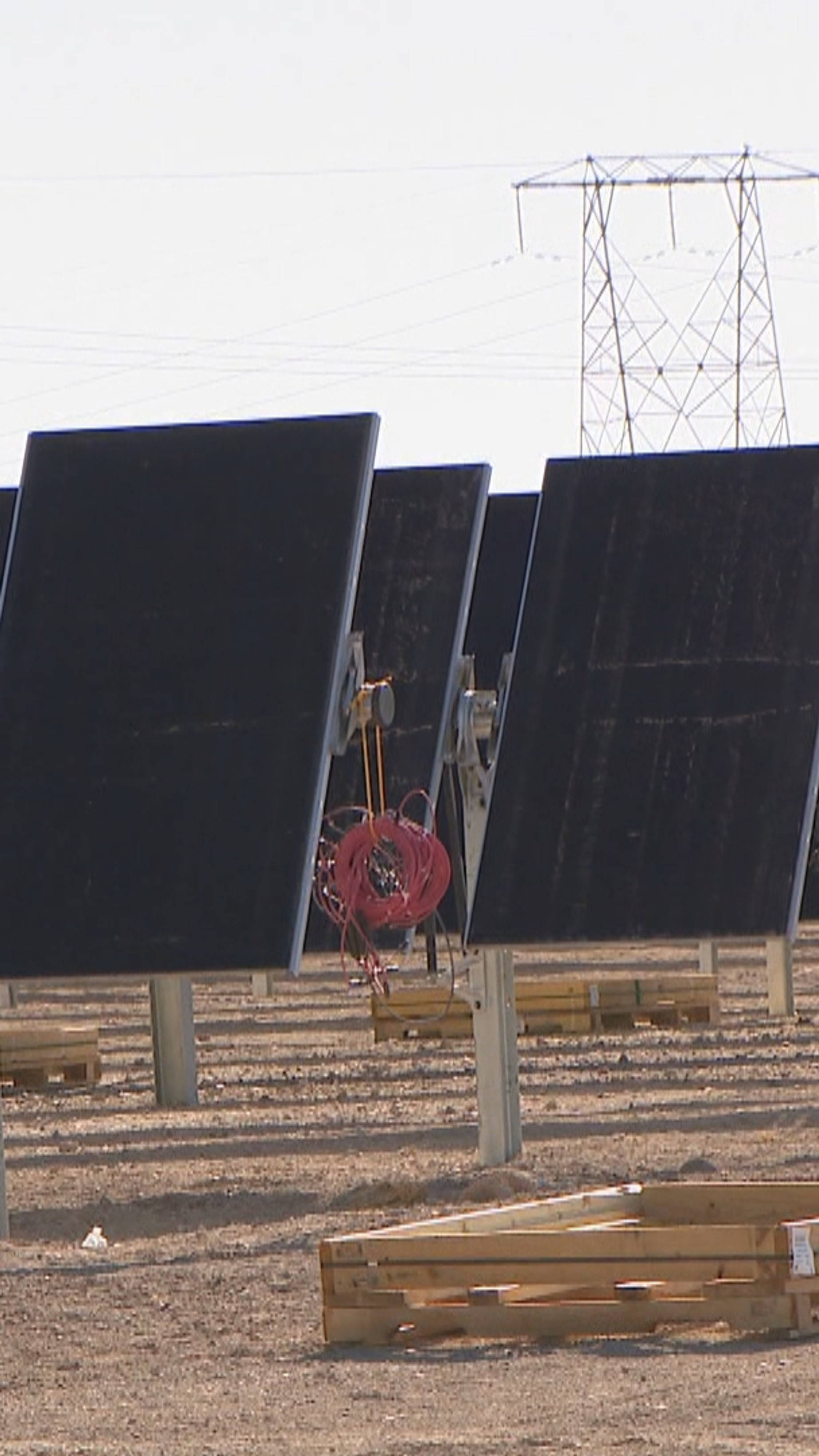 NV Energy 面板電纜線 壁紙 — 一排排太陽能板矗立在乾燥的田野中，在明亮的日光下，遠處有電線和電塔。
