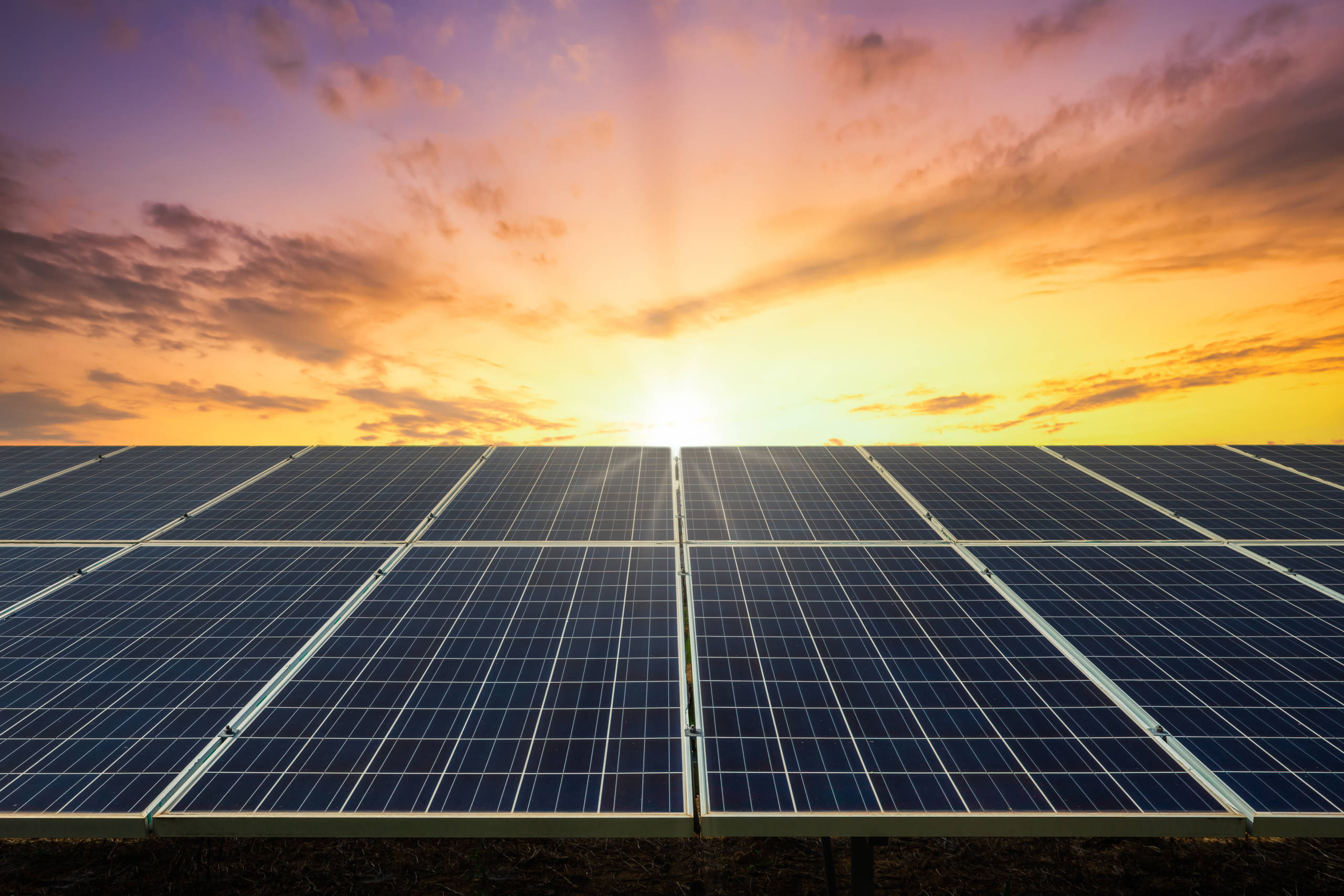 NV Energy與太陽能發電 壁紙 — 一排排太陽能板向著充滿活力的日落天空延伸，天空閃耀著橙色和紫色的色調。
