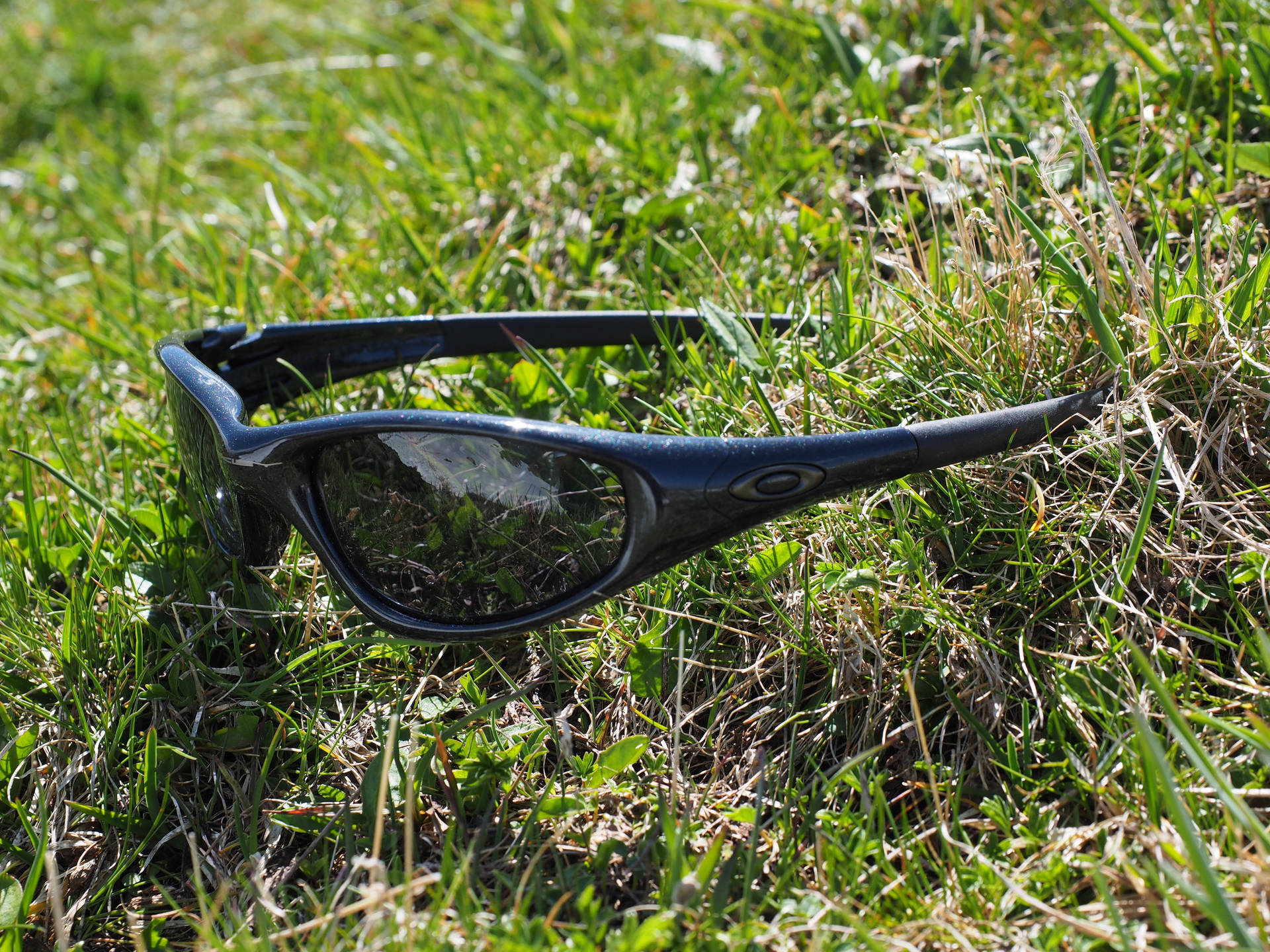 Oakley 騎士運動太陽眼鏡 壁紙 — 黑色太陽眼鏡放在充滿活力的綠色草地上，在明亮的陽光下，鏡片中有清晰的倒影。