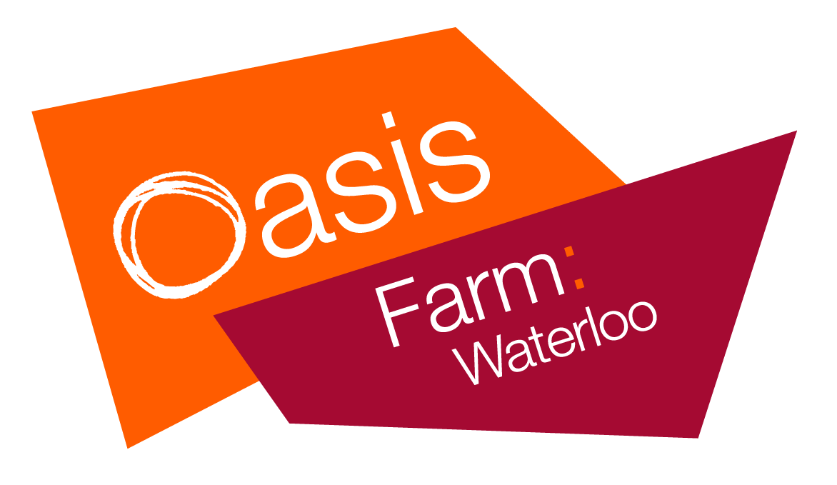Oasis Farm Waterloo 標誌 壁紙 — 一個現代標誌，採用橙色和栗色的幾何形狀，以白色顯示文字「Oasis Farm: Waterloo」。