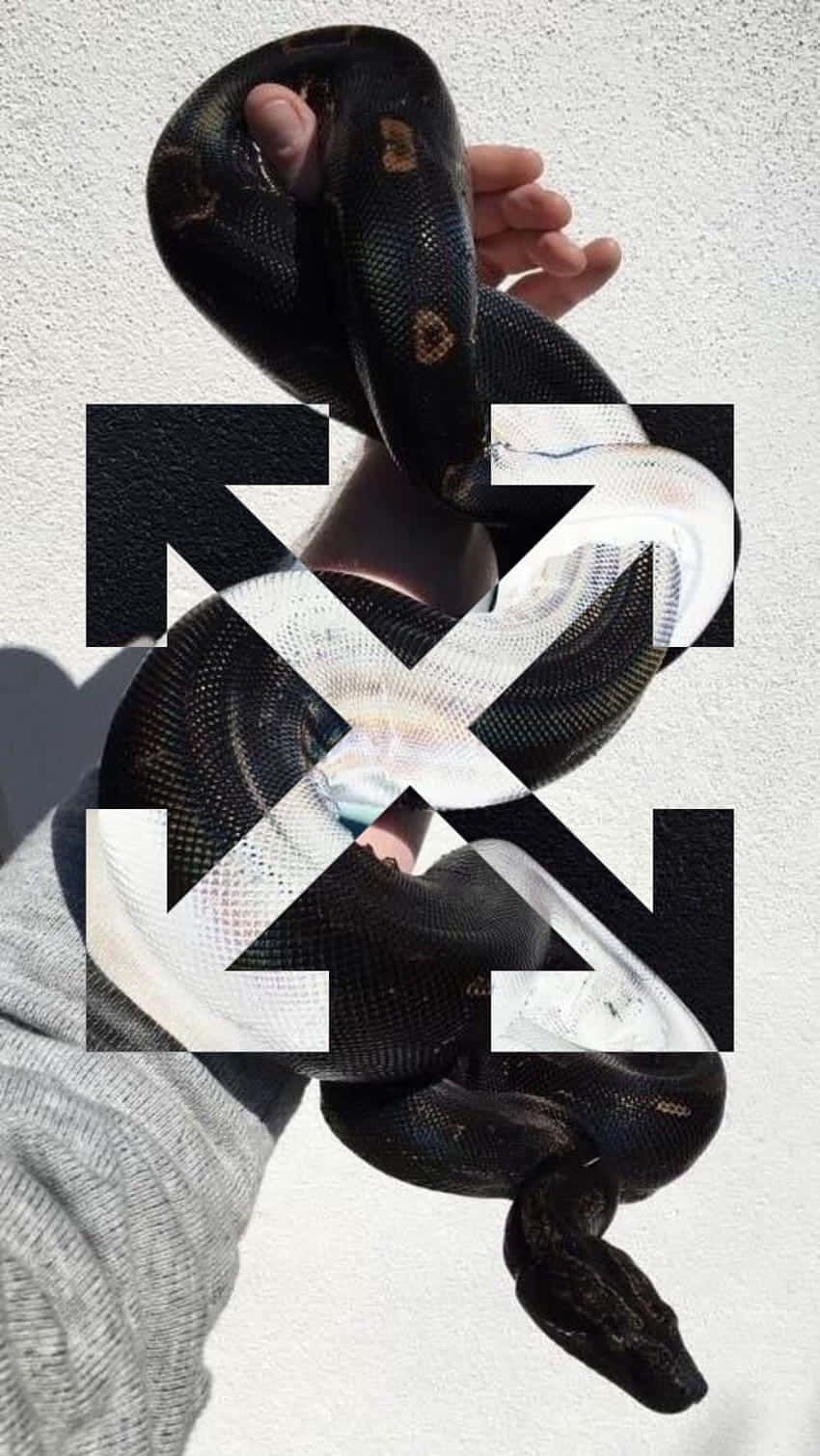 一個人手持一條黑色蟒蛇，白色牆壁上帶有粗體黑色圖形疊加效果。