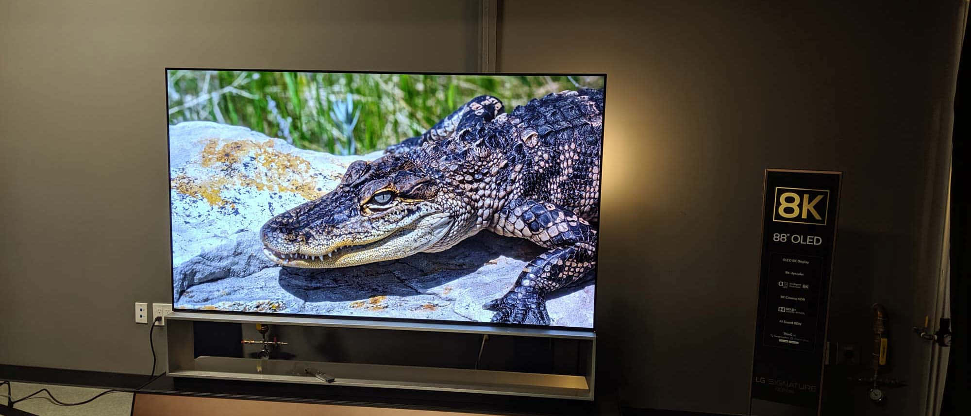 OLED 8K電視畫面 壁紙 — 一部大型8K OLED電視顯示一隻有紋理的短吻鱷在陽光照射的岩石上休息的特寫，背景有綠色樹葉。