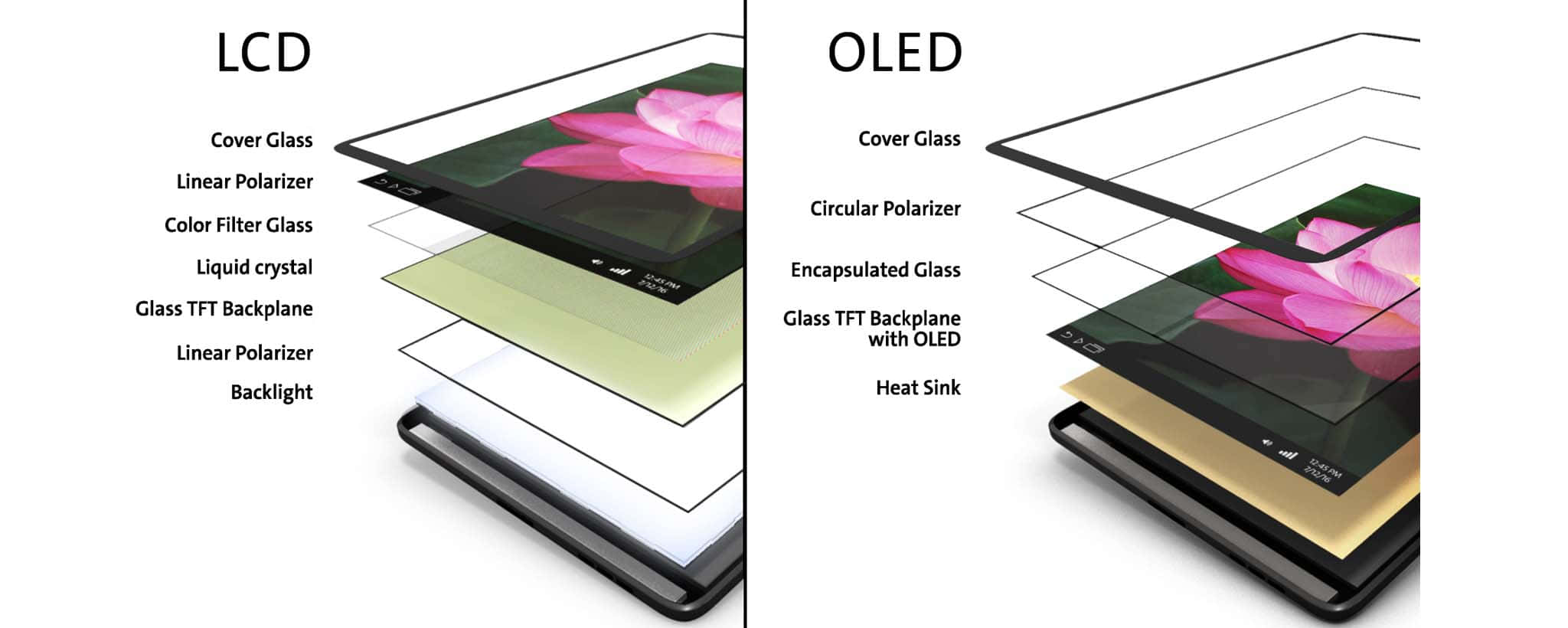 OLED 與 LCD 屏幕對比圖 壁紙 — 比較LCD和OLED顯示技術的橫截面圖，帶有標籤層和粉紅色蓮花視覺效果。