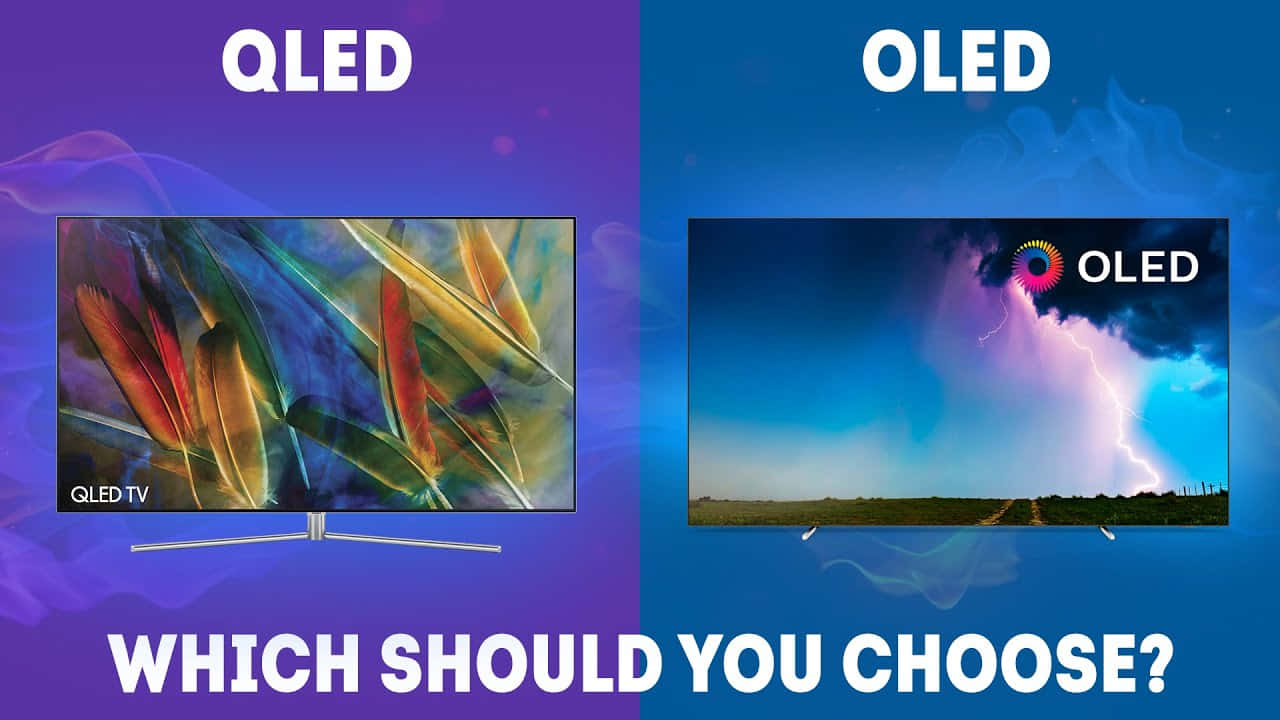 OLED 與 QLED 對比圖 壁紙 — QLED 和 OLED 電視並排比較，顯示鮮豔的羽毛和風暴場景，並以粗體文字詢問該選擇哪一個。