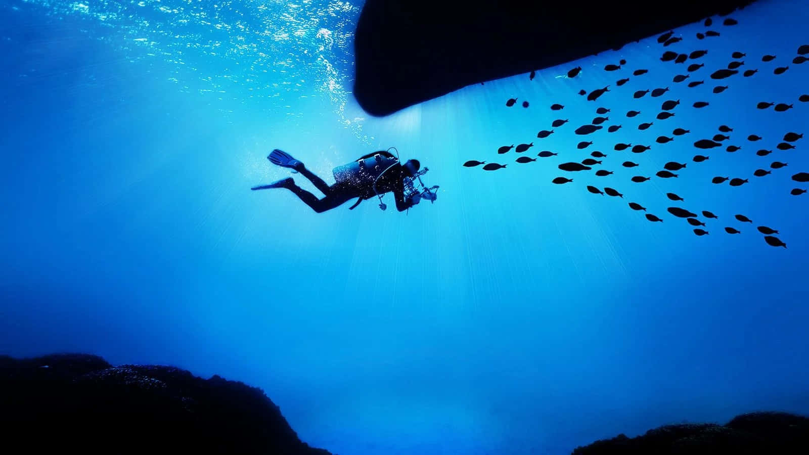 水肺潛水員在岩石附近游泳，魚群在水中陽光下游動
