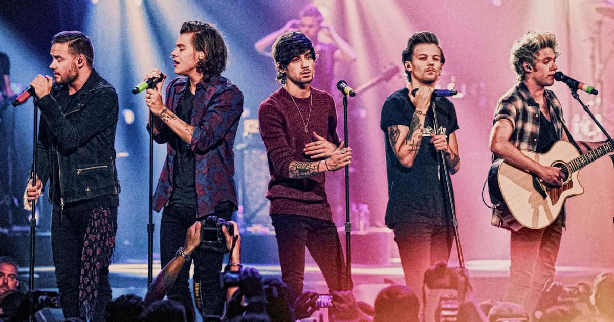 One Direction 在舞台上現場表演，前景有粉絲。