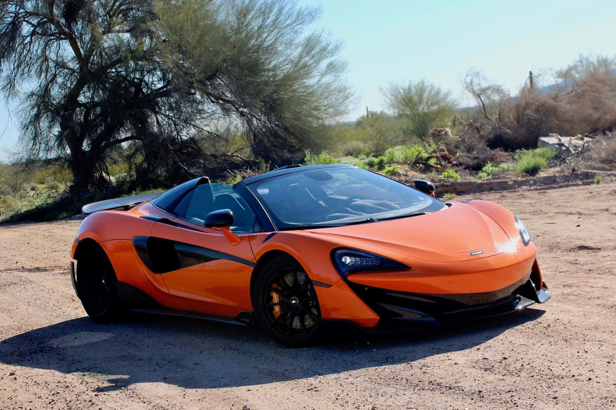 Mclaren 600lt Spider 桌布 壁紙 — 一輛鮮豔的橙色McLaren 570S Spider停泊在塵土飛揚的地形上，背景是明亮的沙漠陽光和稀疏的樹木及灌木。