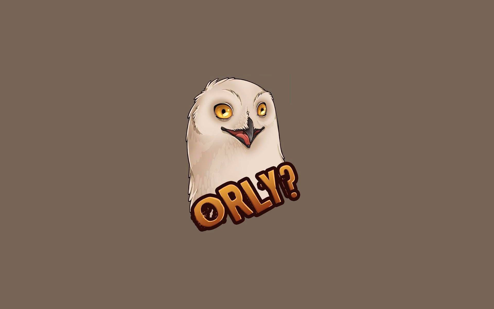 Orly 猫頭鷹搞笑迷因 壁紙 — 一隻卡通雪鴞，有著大大的黃色眼睛和驚訝的表情，下方有文字 'ORLY?'，背景為棕色。