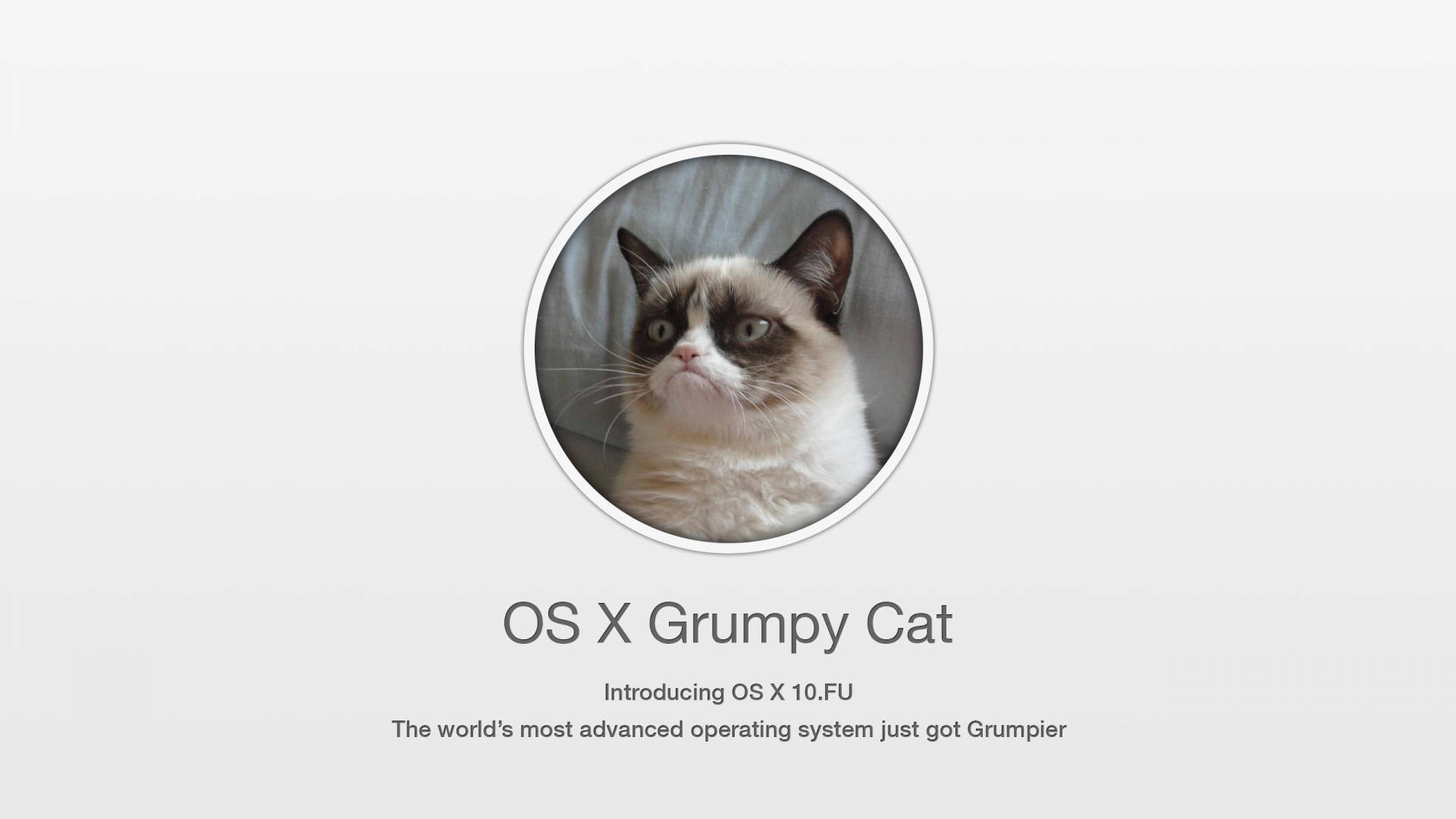 一隻暴躁的貓在圓形框架中，下方有關於 OS X 的文字。