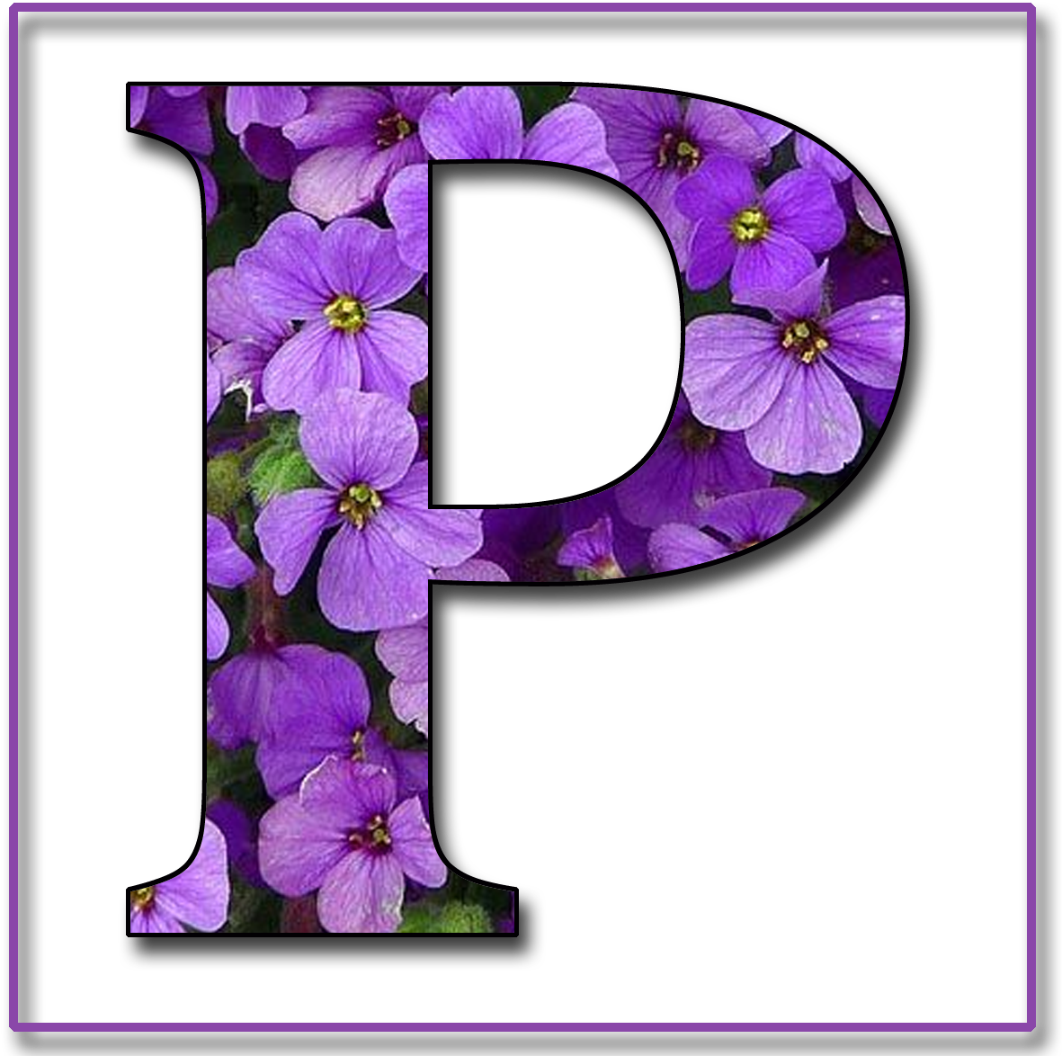 紫色花卉字母P 壁紙 — 一個粗體黑色字母P在深色背景上框住了一簇充滿活力的紫色花朵，花朵中心為黃色。