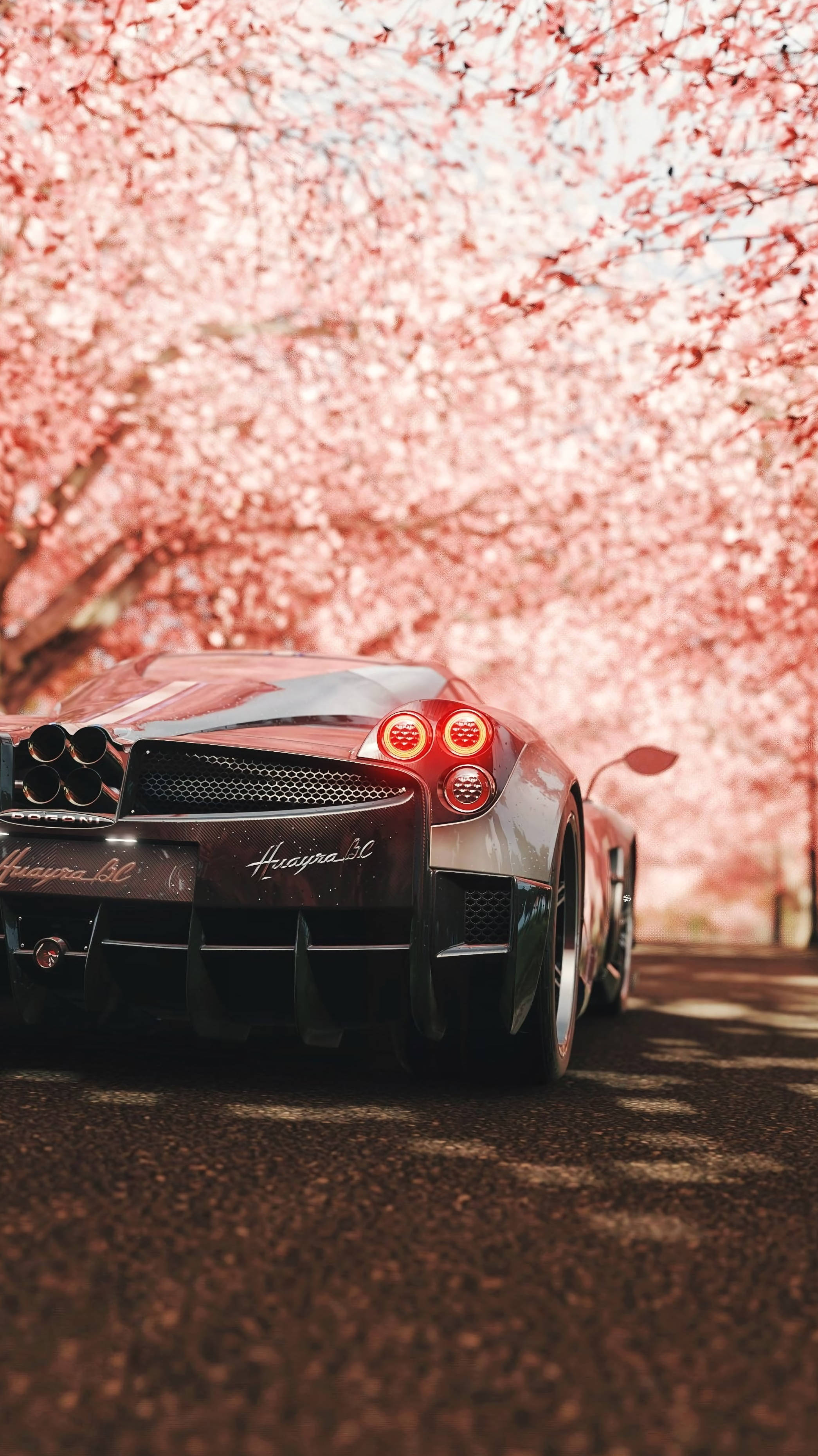 Pagani Huayra 樱花花園後視 壁紙 — 一輛時尚的銀色 Huyra 3C 跑車停放在充滿活力的粉紅色櫻花樹冠下。