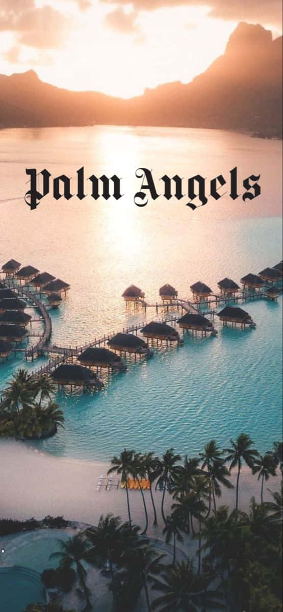 Palm Angels浮動小屋 壁紙 — 金色日落時分，棕櫚樹和山脈背景下，水上平房在碧綠海水上的鳥瞰圖。