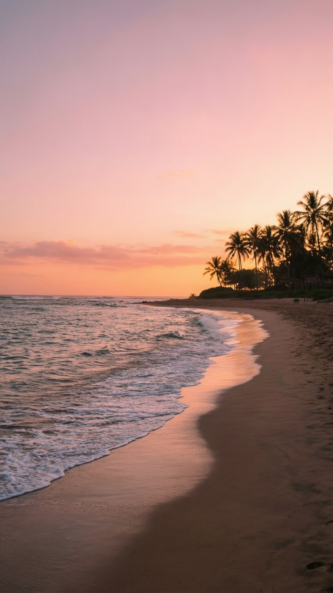 熱帶海灘上的夕陽，棕櫚樹和溫柔的海浪在沙灘上
