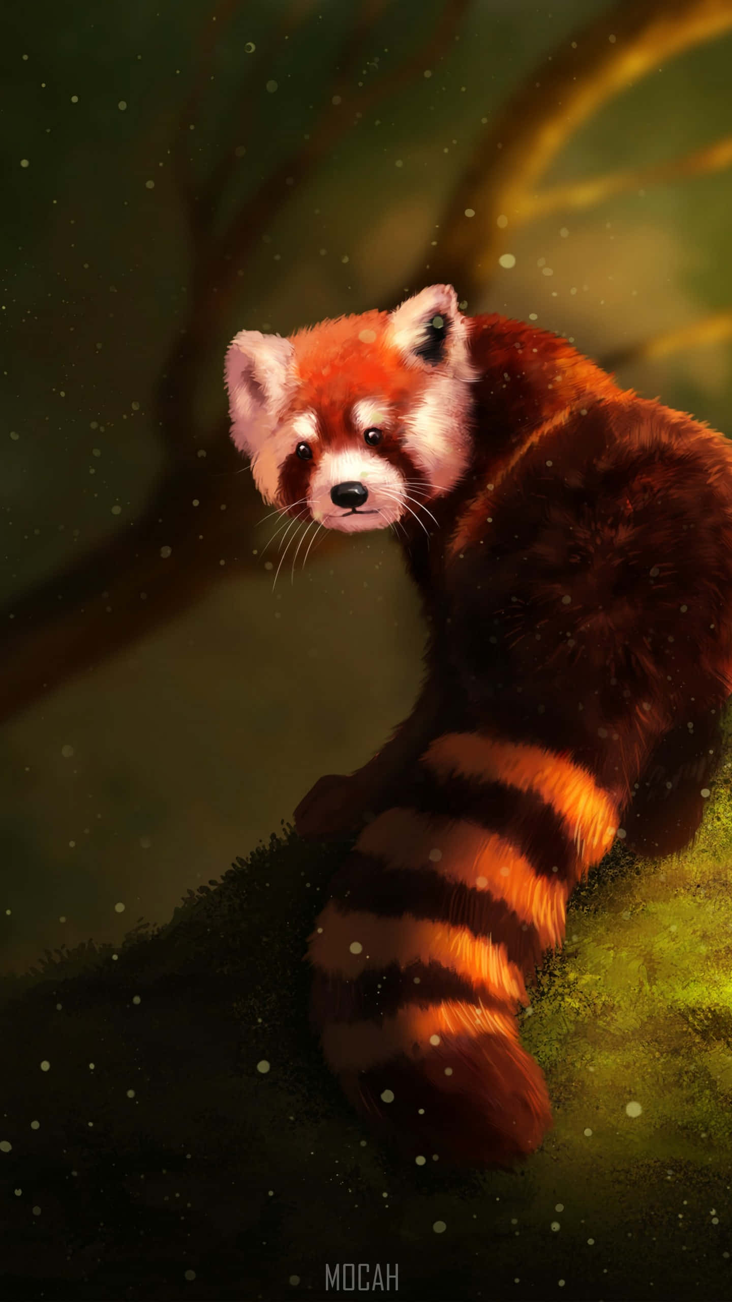 這隻可愛的小紅 Panda 準備為您帶來歡樂 壁紙 — 一隻小熊貓棲息在長滿苔蘚的樹枝上，身處柔和光線的森林中，牠蓬鬆的橙色和白色毛髮在深綠色背景下溫暖地發光。
