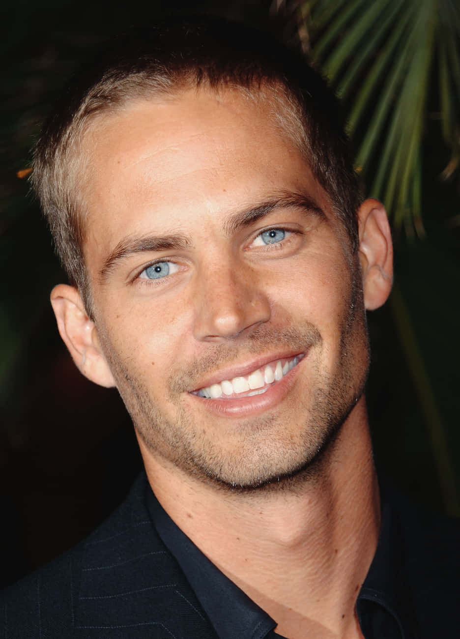保羅·獲加 桌布 壁紙 — Paul Walker 嘅特寫肖像，溫暖咁笑，有明亮嘅藍眼睛，背景係暗色模糊嘅棕櫚葉。