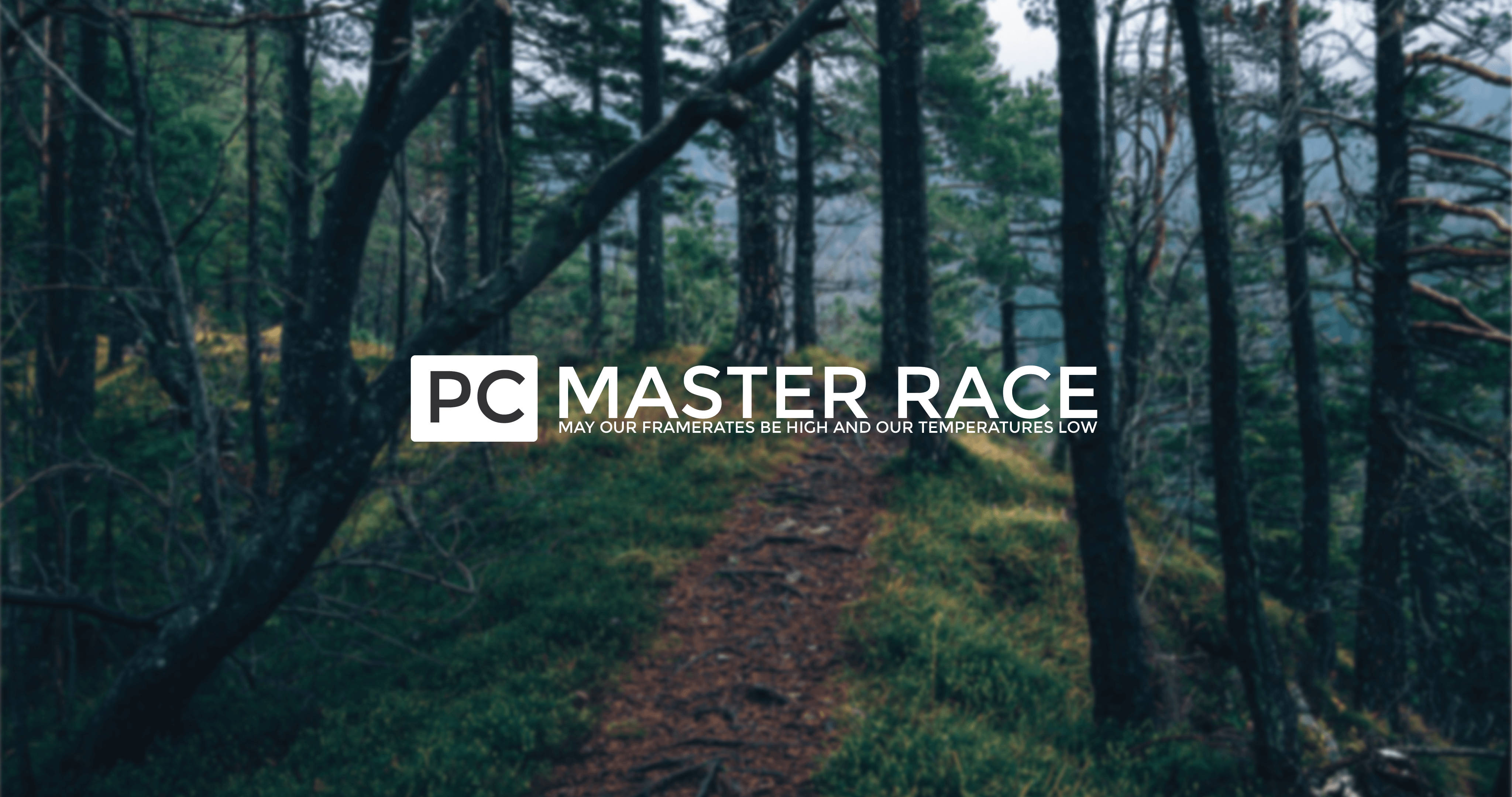 PC Master Race 森林風景 壁紙 — 一條霧氣瀰漫的森林小徑蜿蜒穿過高大的松樹，並疊加了PC Master Race標誌。