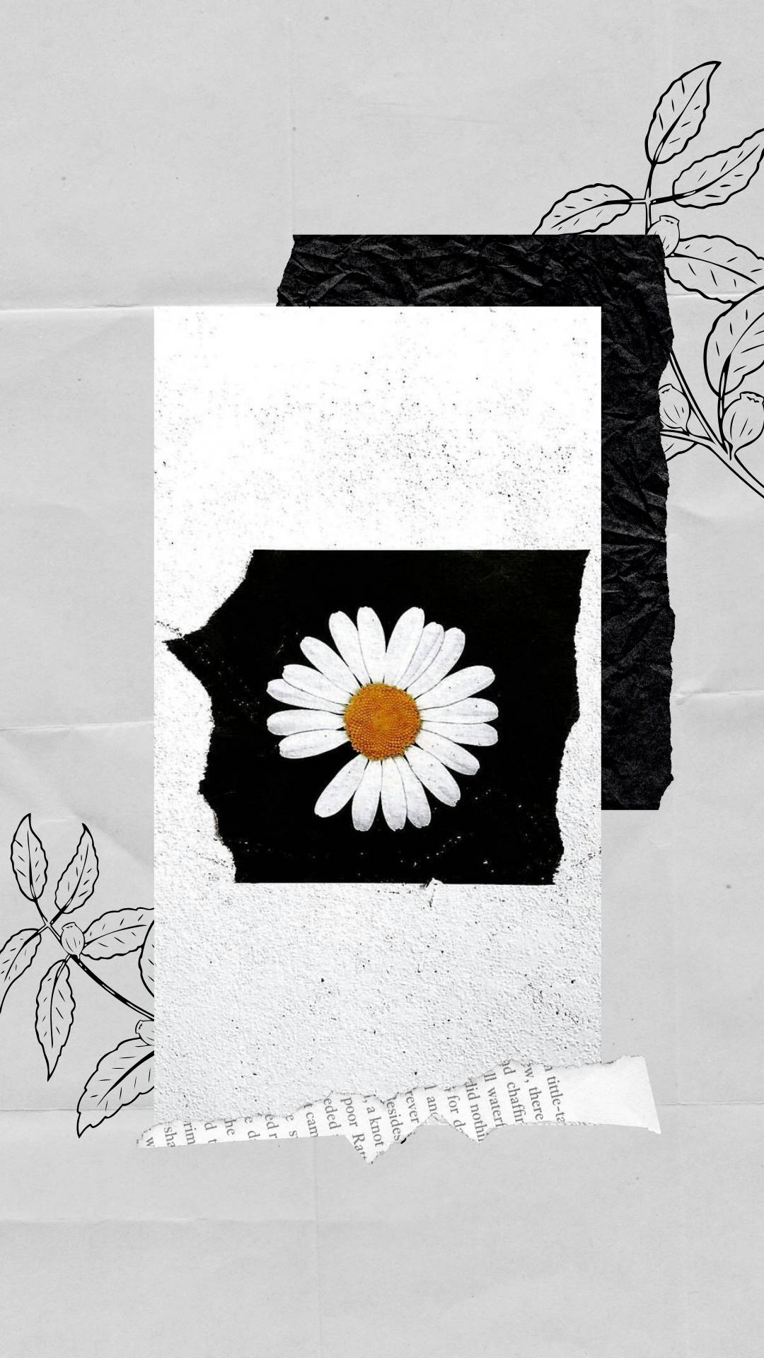 PeaceMinusOne 數位藝術作品 壁紙 — 一朵白色花瓣、黃色花心的雛菊，位於黑色紋理正方形的中央，周圍是撕碎的紙張和線條繪製的葉子，背景為灰色。