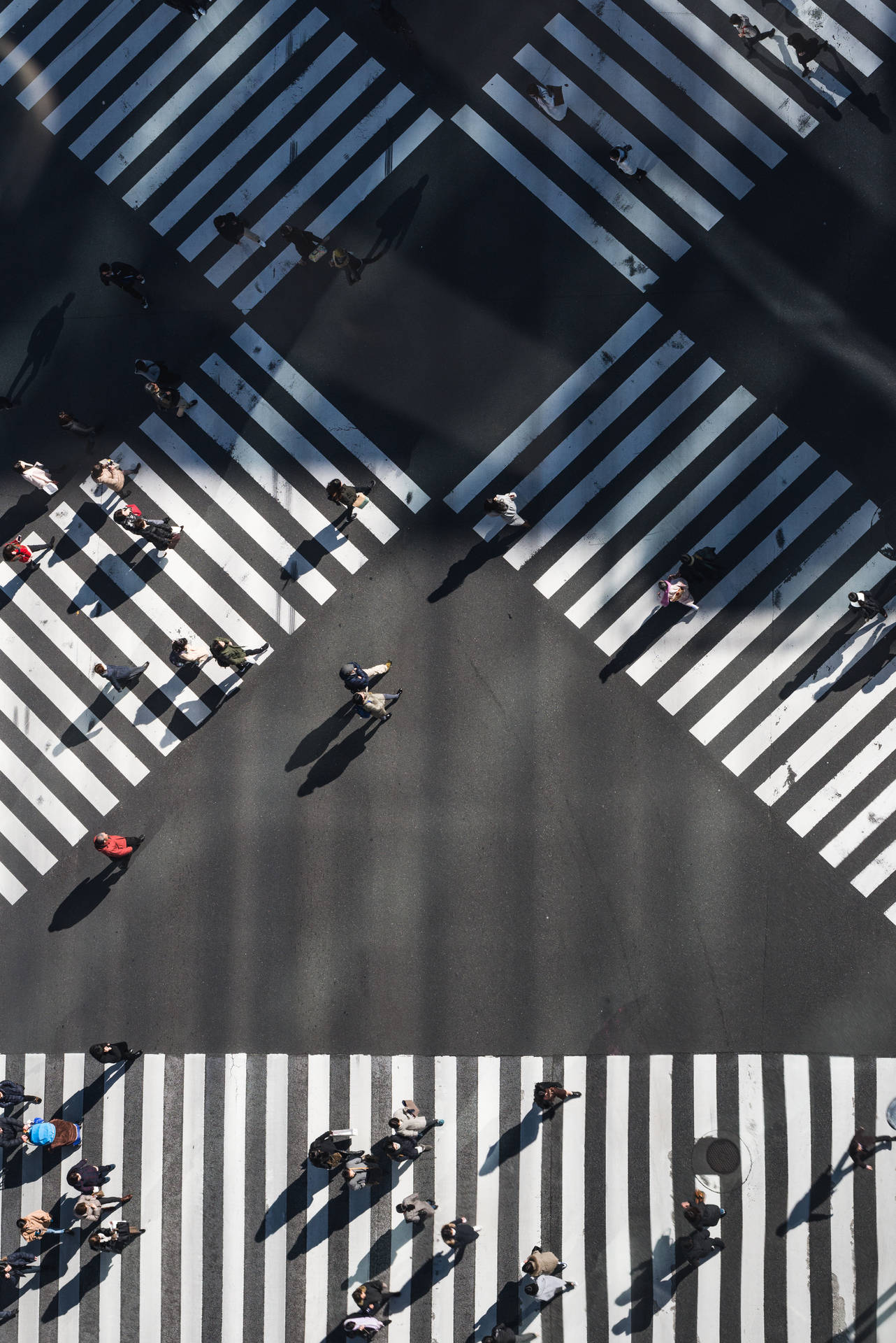 空中俯瞰街頭行人步道壁紙