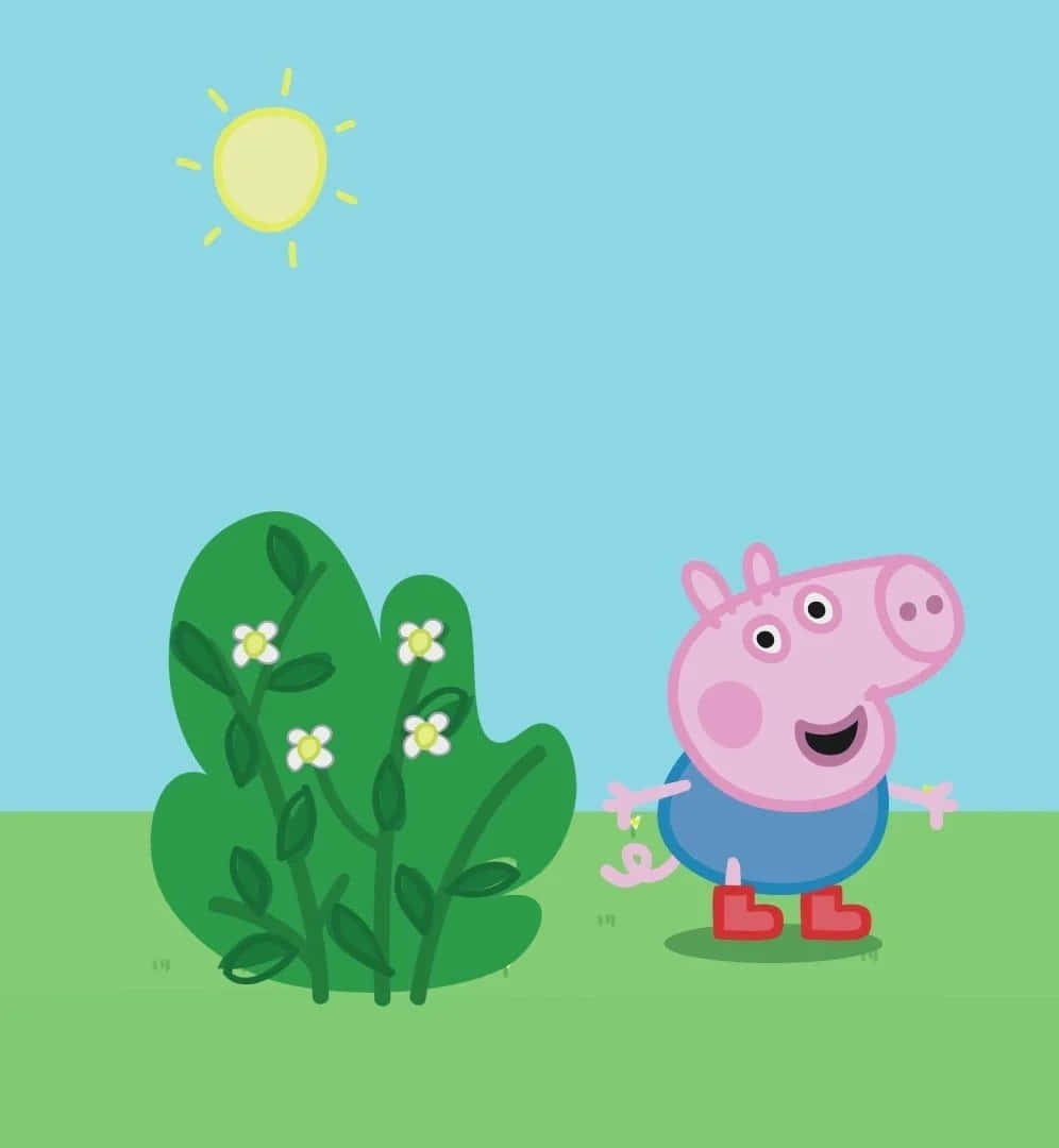 George Pig 桌布 壁紙 — Peppa Pig 喺晴朗嘅藍天下，企喺一個有白色花嘅綠色灌木旁邊嘅陽光田野入面，好開心咁企喺度。