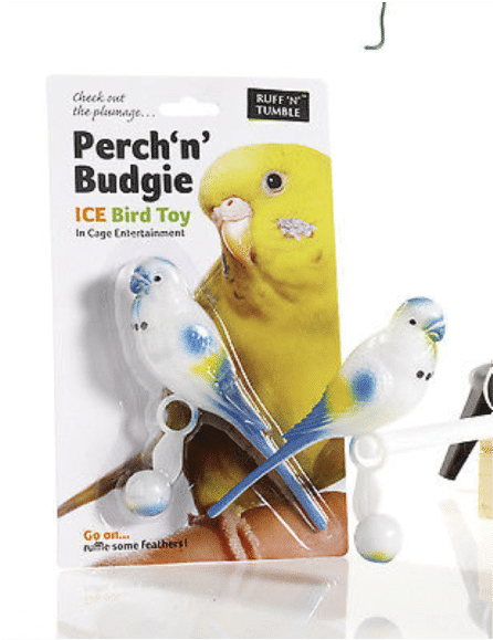 Perch'n'Budgie 鳥類玩具包裝 壁紙 — 一隻黃色虎皮鸚鵡和兩個藍白色鳥類玩具放在一個白色包裝上，標有 Perch'n' Budgie ICE Bird Toy。