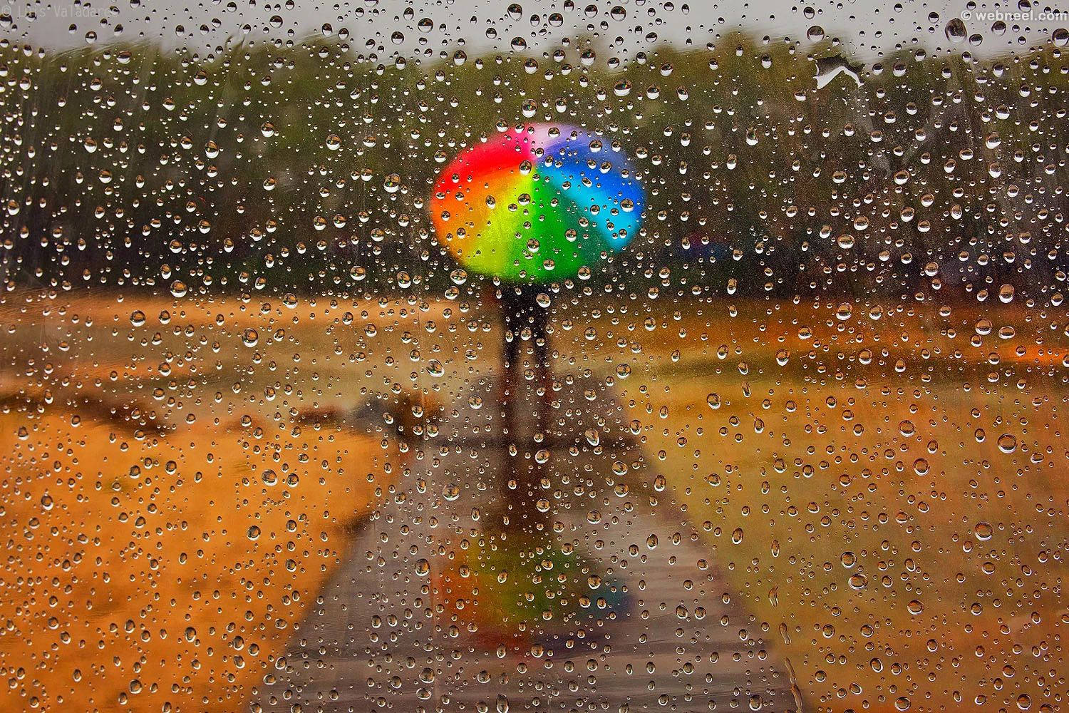欣賞雨的寧靜之美 壁紙 — 一個人拿著鮮豔的彩虹傘，在濕漉漉的小路上行走，透過佈滿雨點的窗戶觀看。
