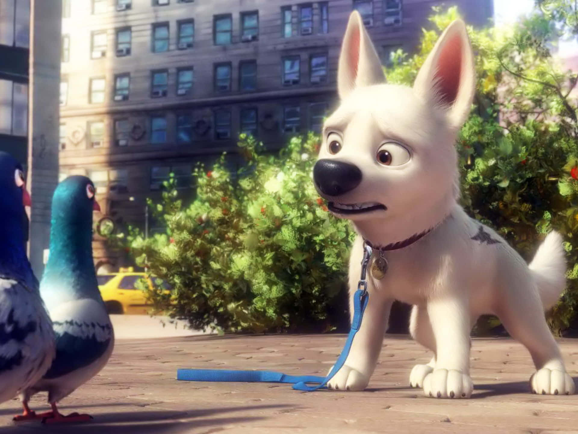 pet secret life HD - 寵物當家 壁紙