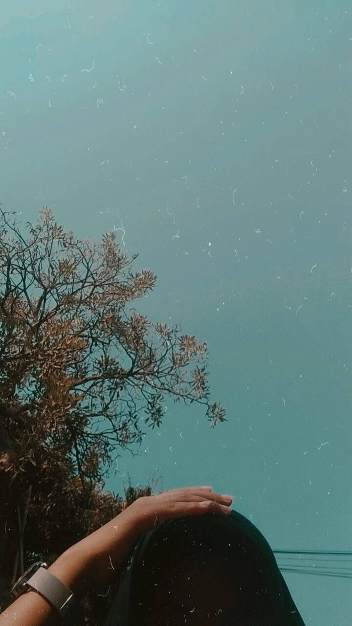 少女遮頭PFP美學 壁紙 — 一個人的手放在他們的頭上，在廣闊的青綠色天空下，有光禿的樹枝和菲林顆粒紋理。
