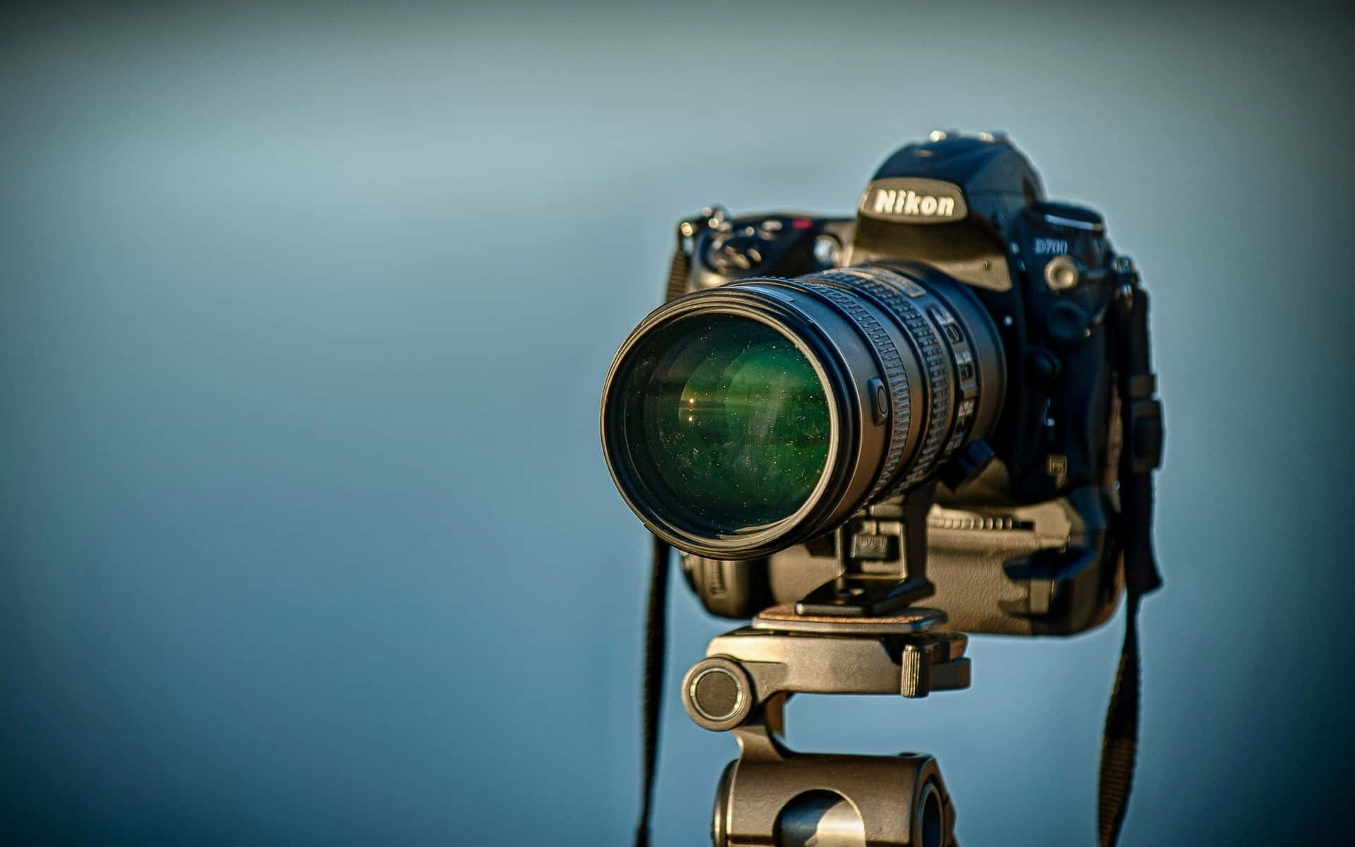  壁紙 — 一部配備大鏡頭的Nikon DSLR相機安裝在三腳架上，背景為柔和的藍色漸變。