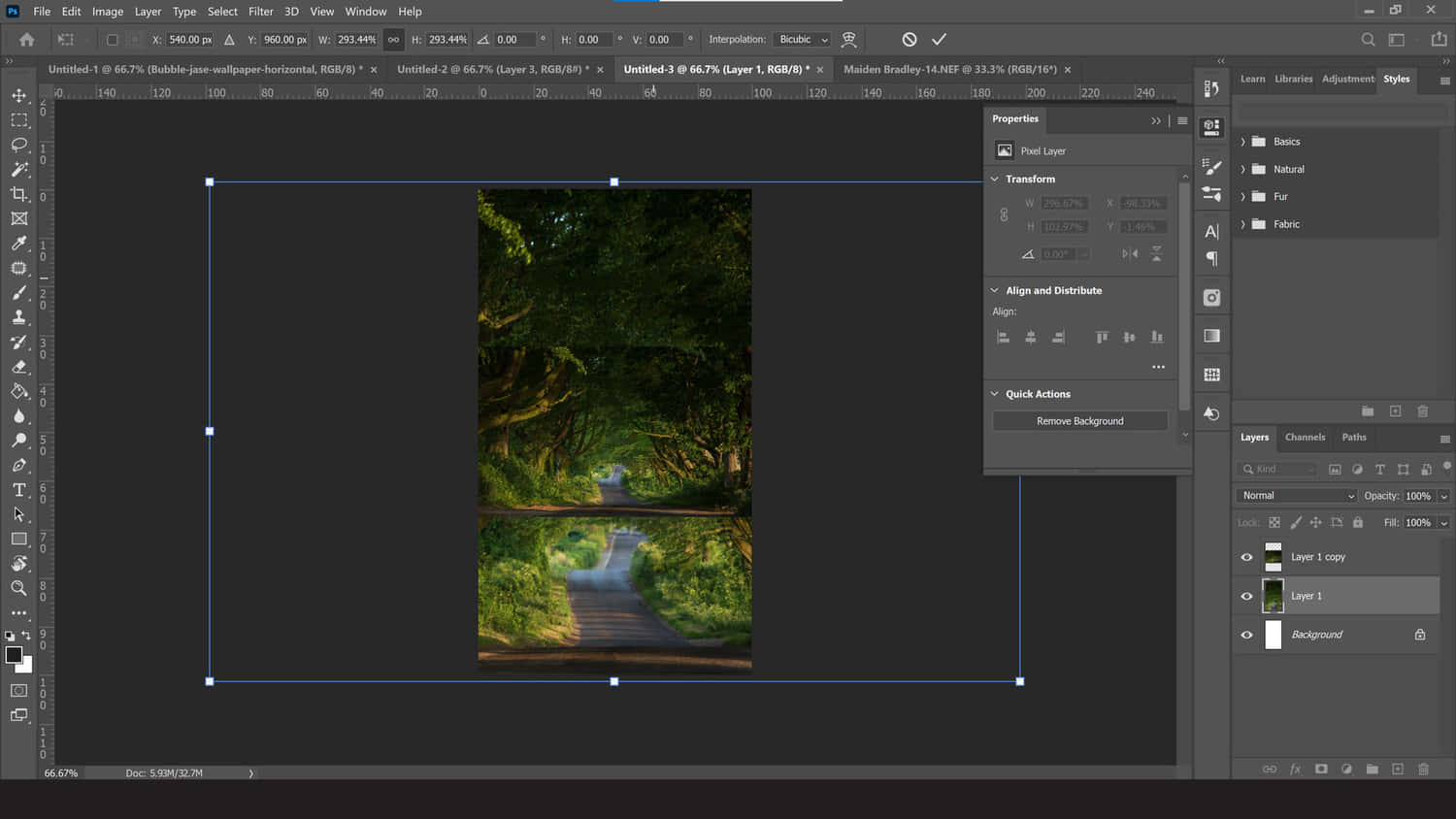 Photoshop 工具介面 壁紙 — 一條寧靜的森林小徑拱形穿過茂密的綠樹，下方是反射的水面。