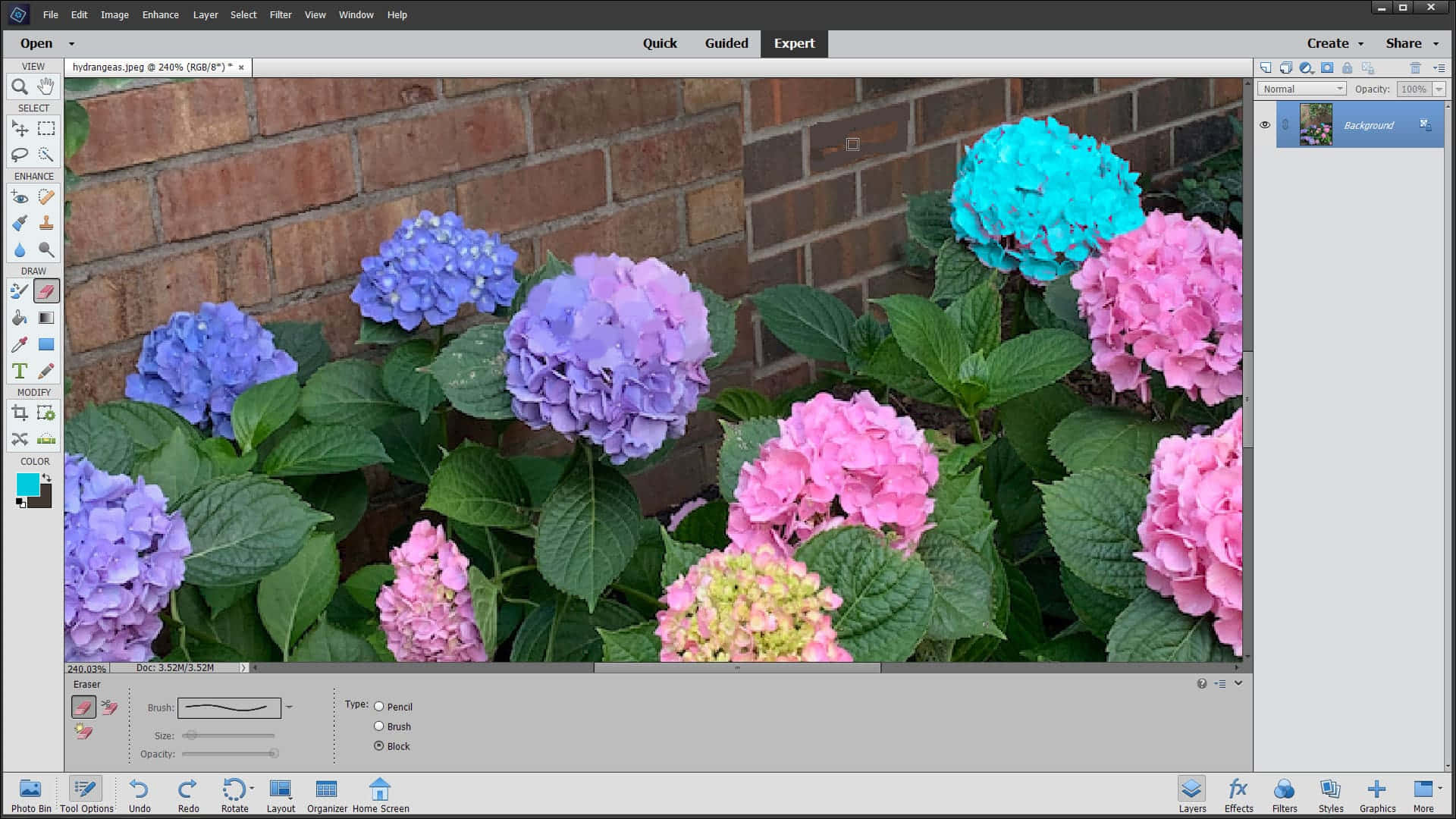 Photoshop彩色花朵圖像 壁紙 — 鮮豔的粉紅色、紫色和藍色繡球花在照片編輯器視窗中，對著質樸的磚牆茂盛綻放。