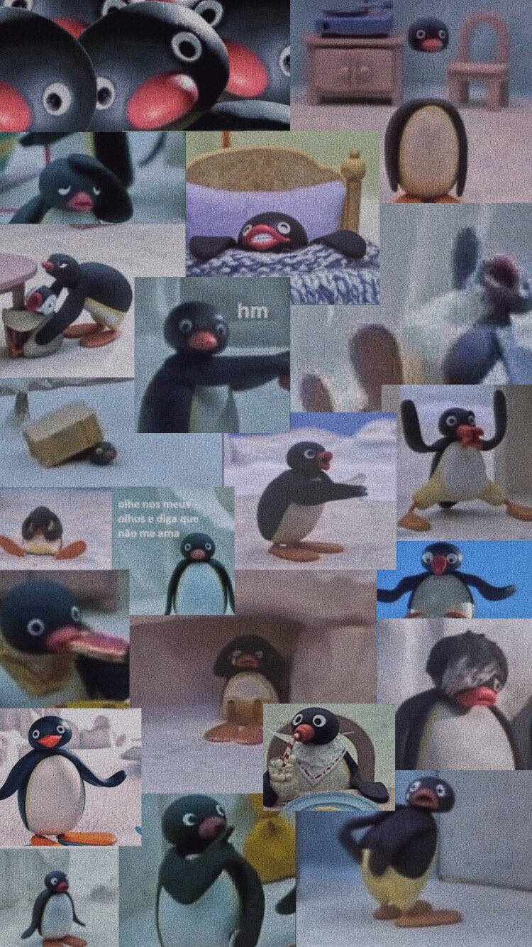 Pingu 節目拼貼畫 壁紙 — 各種表情豐富的姿勢和室內場景中的黏土動畫企鵝角色拼貼畫。