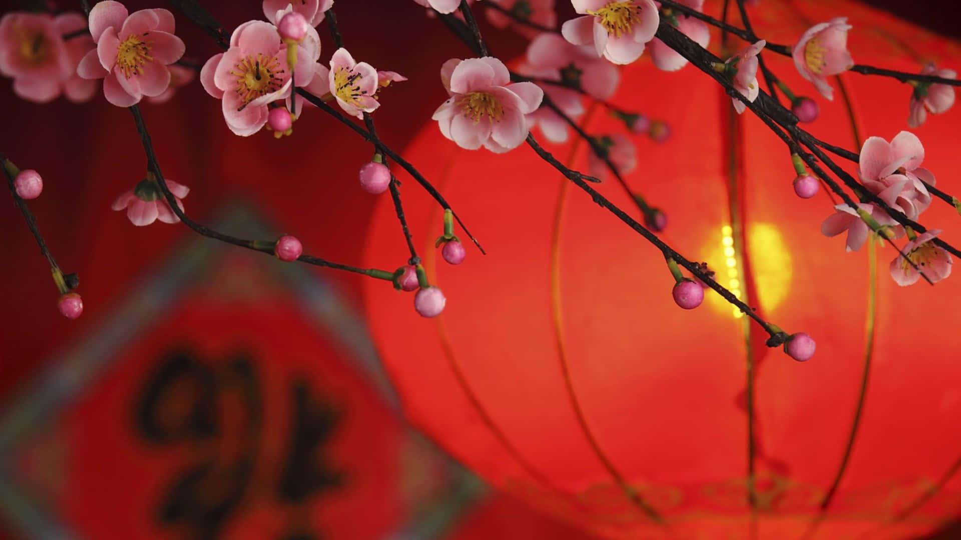 壁紙 — 粉紅色的櫻花在深色樹枝上盛開，背景是一個發光的紅色燈籠，上面有模糊的中文字。