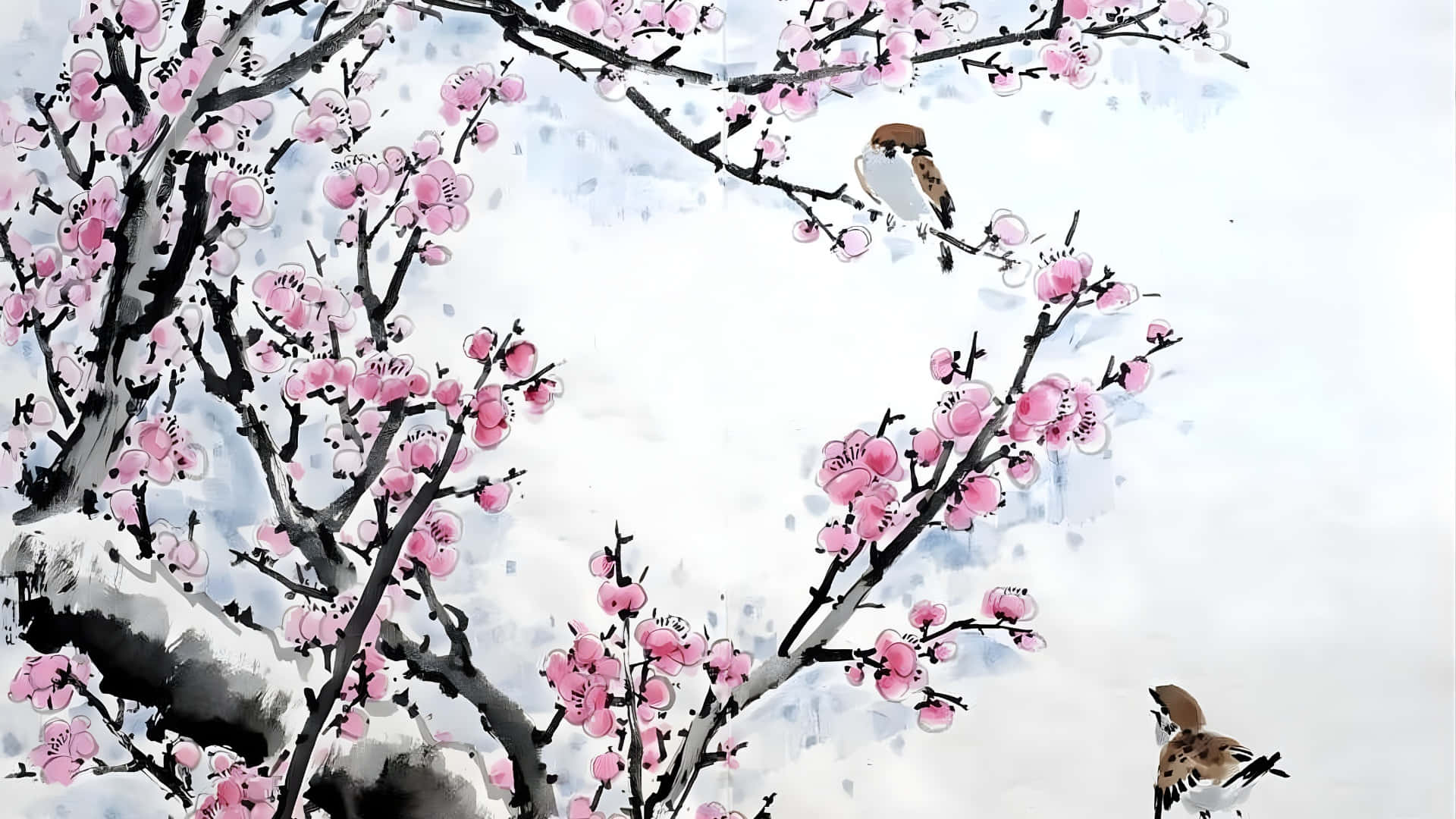  壁紙 — 粉紅色的櫻花在深色樹枝上盛開，背景是雪景，兩隻小鳥棲息在花叢中。