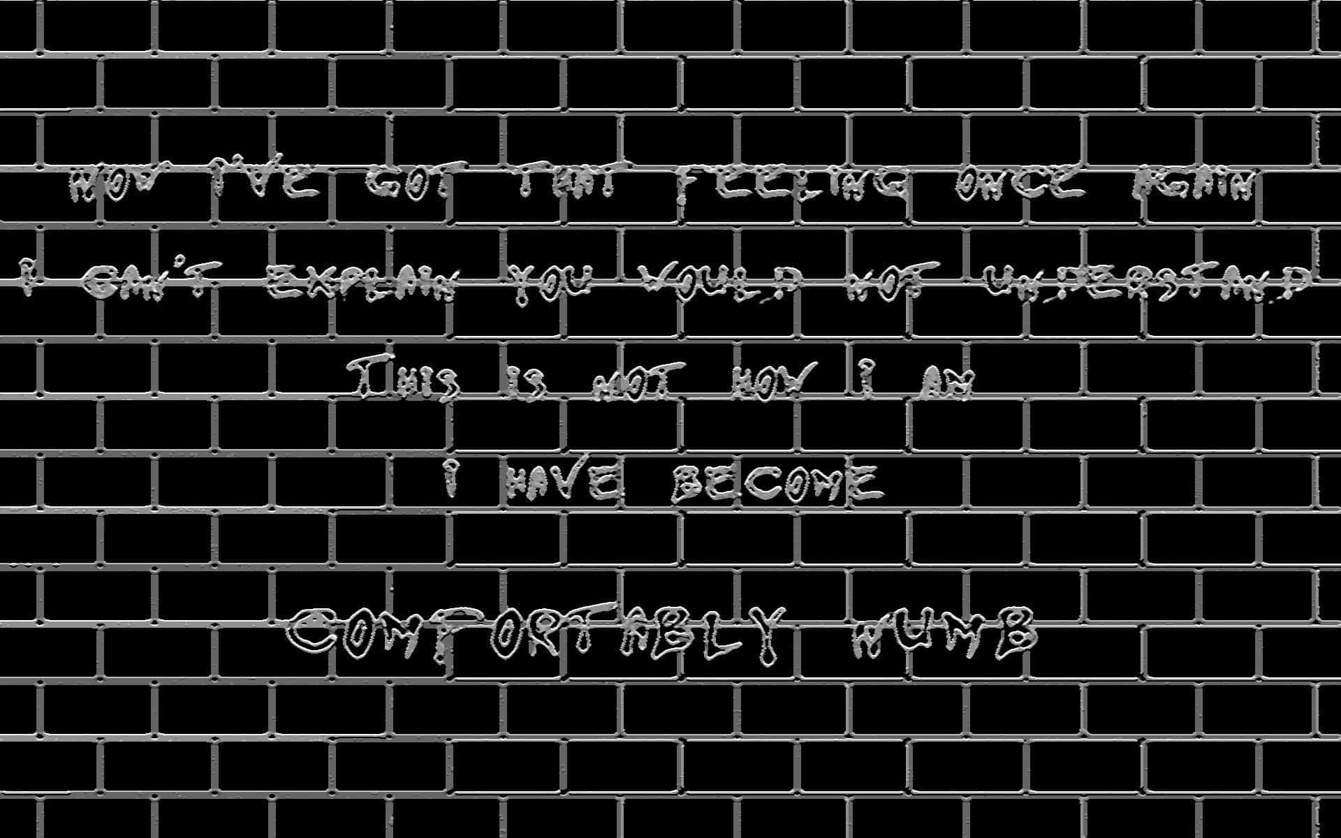 黑色磚牆上的白色塗鴉文字寫著「Comfortably numb」及其他文字