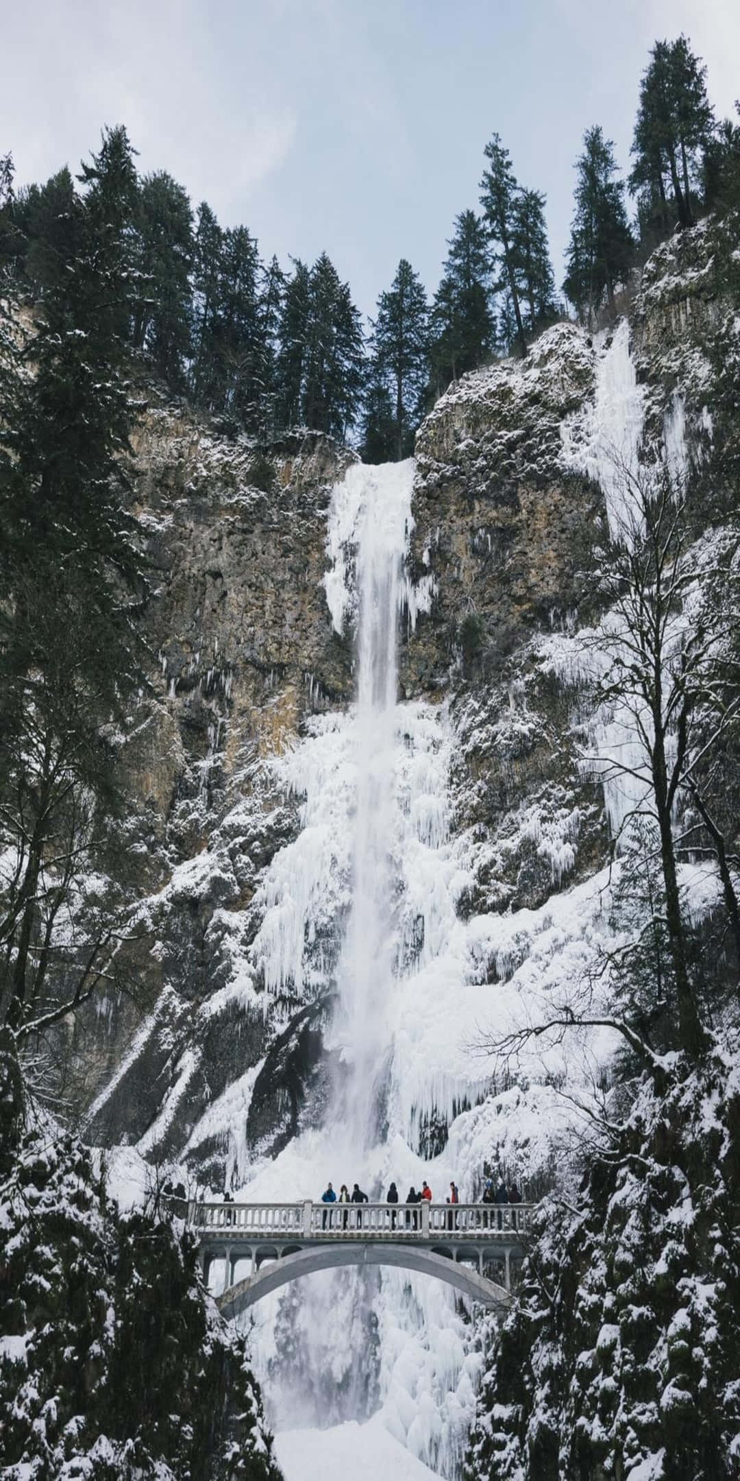 Pixel 3 自然背景：凍結瀑布 壁紙 — 一道冰凍瀑布從積雪懸崖傾瀉而下，遊客站在下方的橋上，四周環繞著常綠樹木。