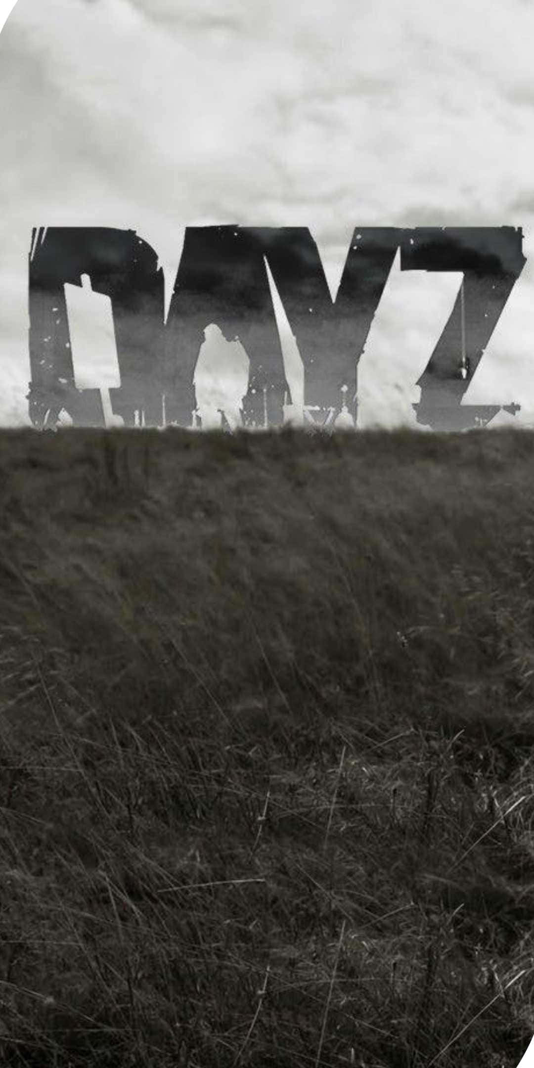 Pixel 3 Dayz Epoch Mod 背景：遊戲標題藝術字 壁紙 — 單色高草田野，大膽的「DAYZ」標誌在陰雲密布的天空下若隱若現。